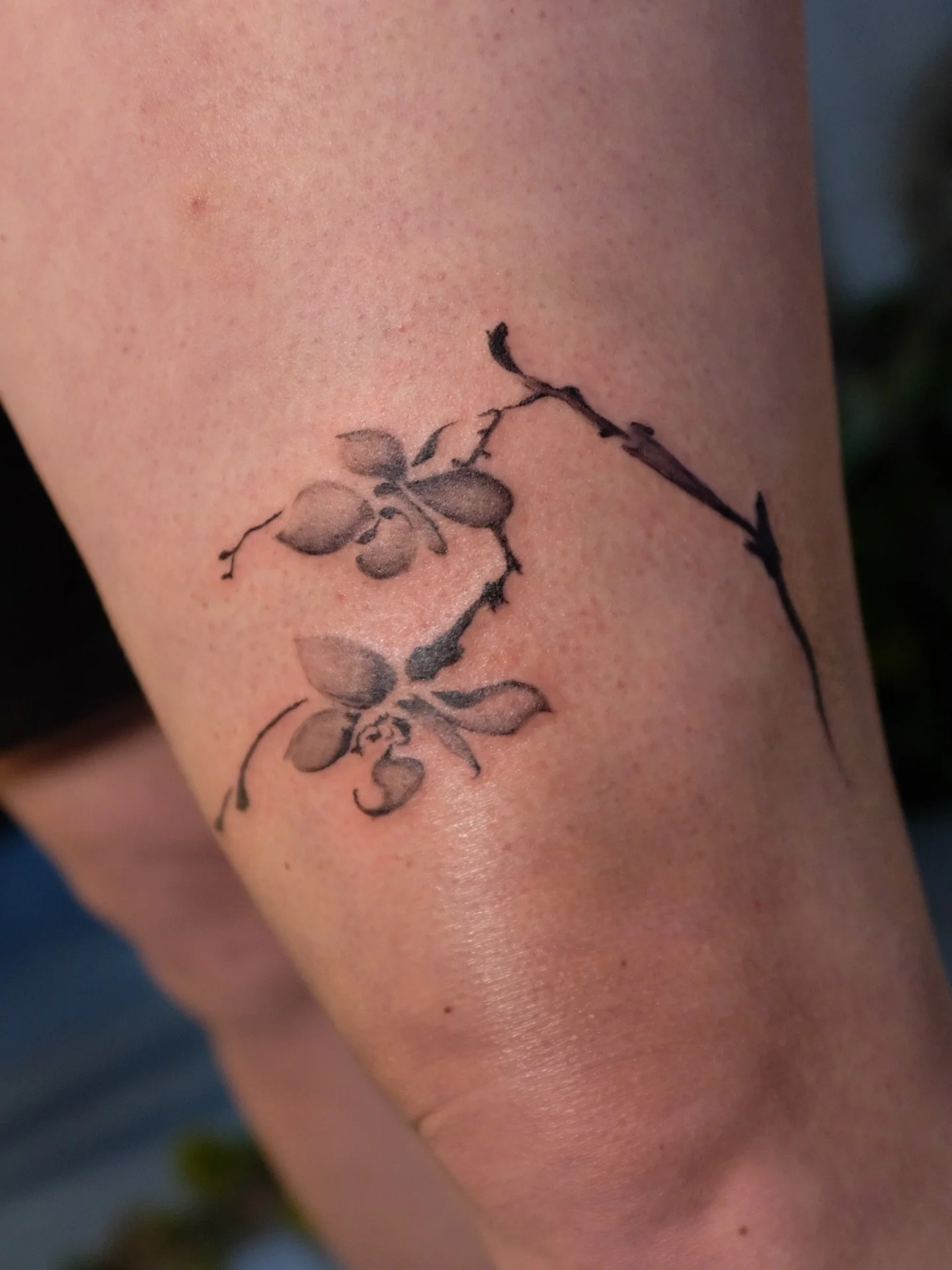 orchid flash (fresh and at 1 month of settling in), cyanotypes, and a person sitting under a pine branch (color is few months healed in last pic) 
all flash, all on Jenna - thank you!!
done @bituinstudio in San Francisco