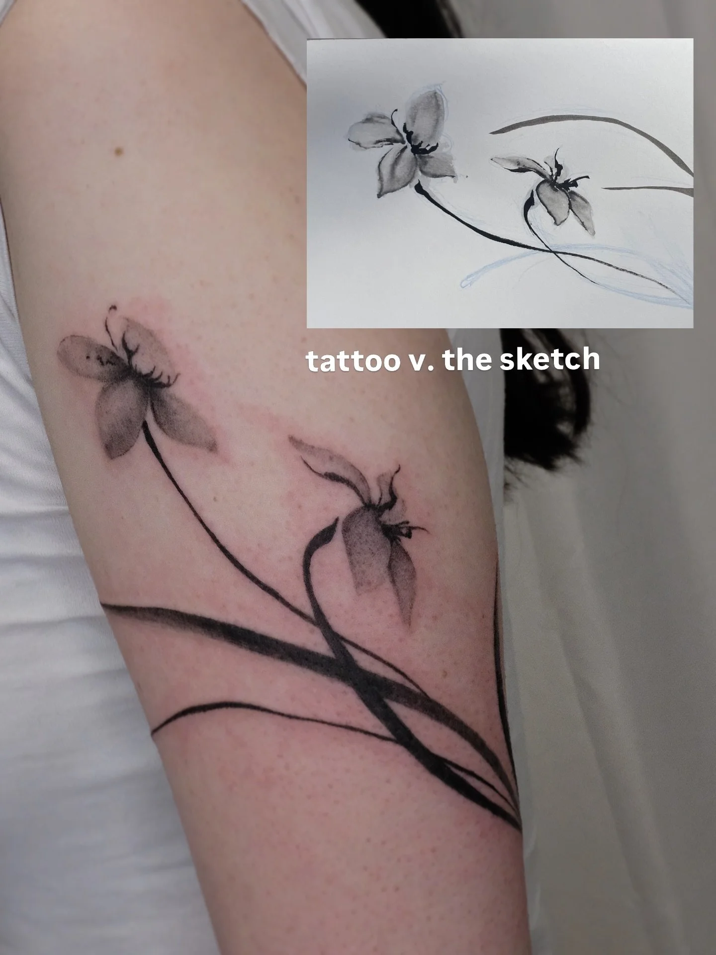 tattoo v. the first sketch on paper

sometimes I redraw the sketch a few times, sometimes I use procreate to make edits faster, sometimes I make changes during the tattoo session depending on: the size of the tattoo, client&rsquo;s skin/tone, and the