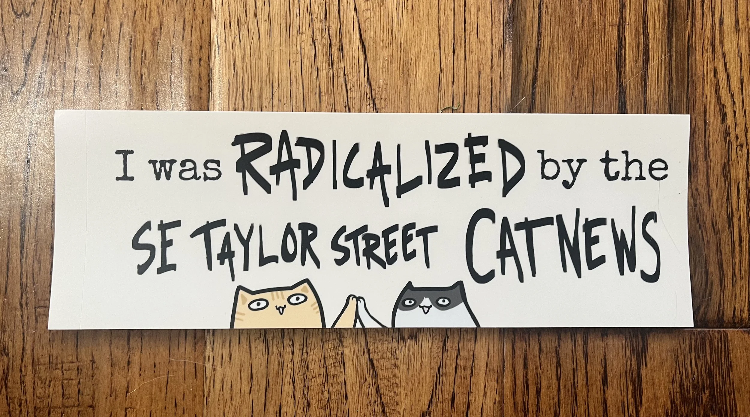 RADICALIZED Bumper Sticker