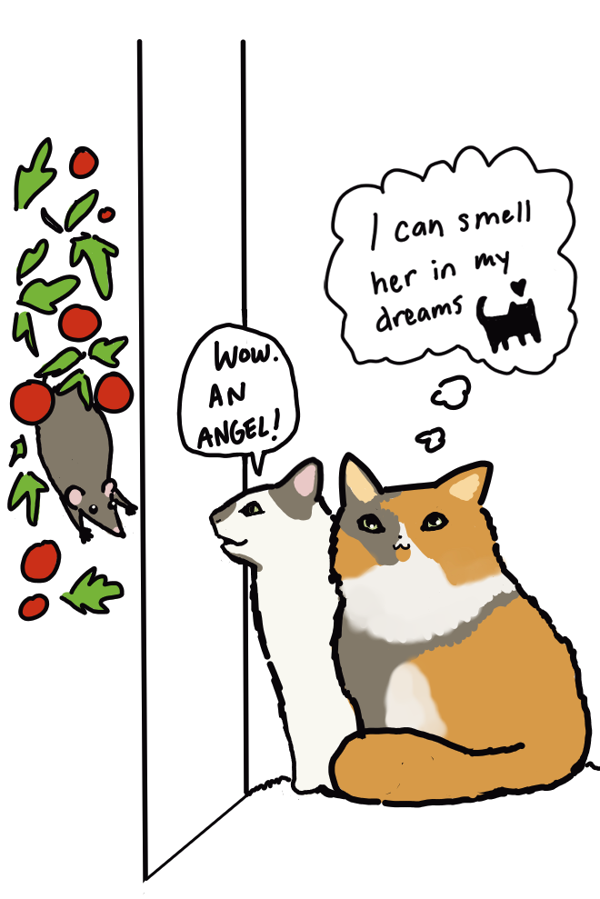 Separated by the Screen Door: Situationships on 31st and Taylor