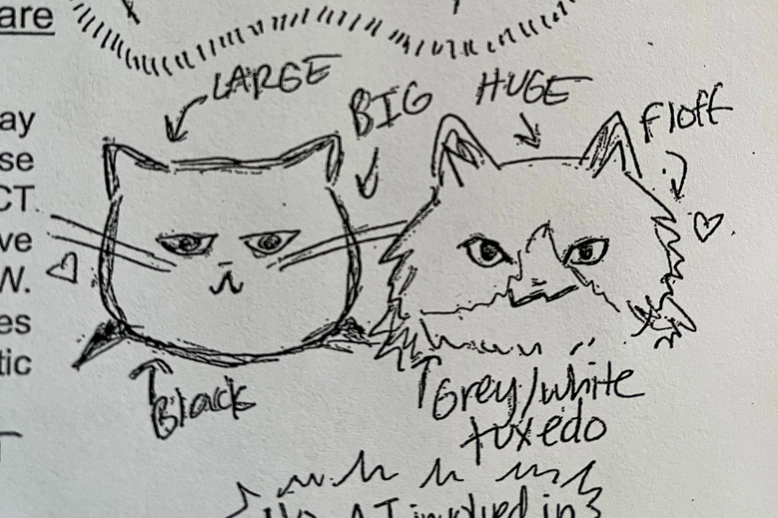 Bagheera and His Grey-White Friend are Trying to Get Someone Pregnant