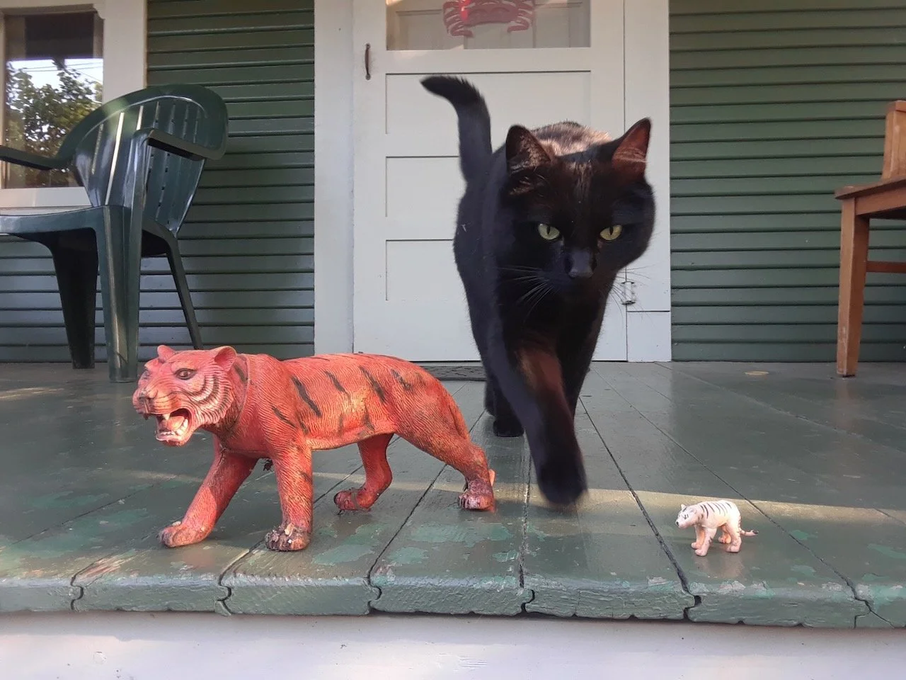 Mr. President - Obituary