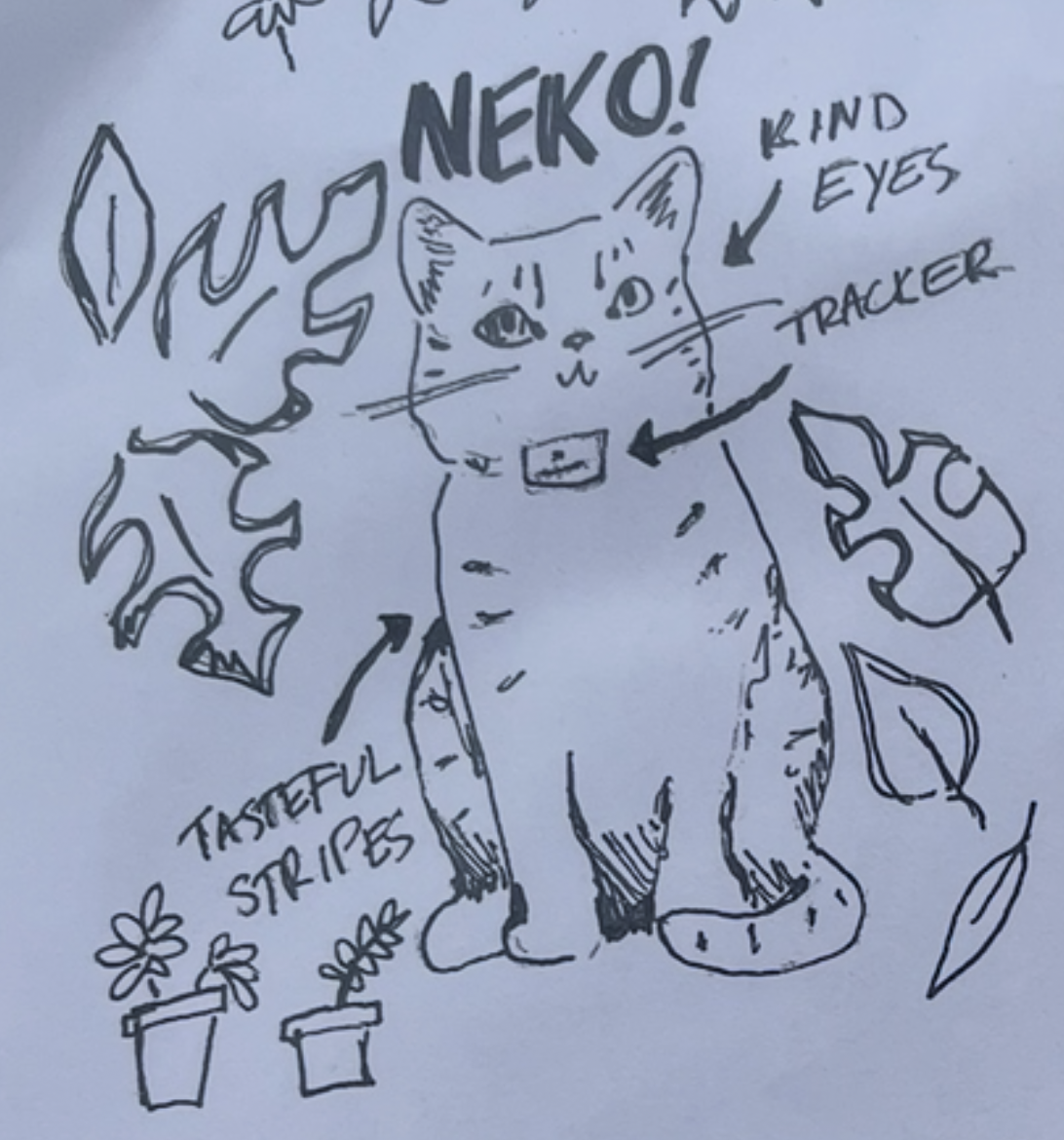 Neko: Adopted, Neutered, Thriving