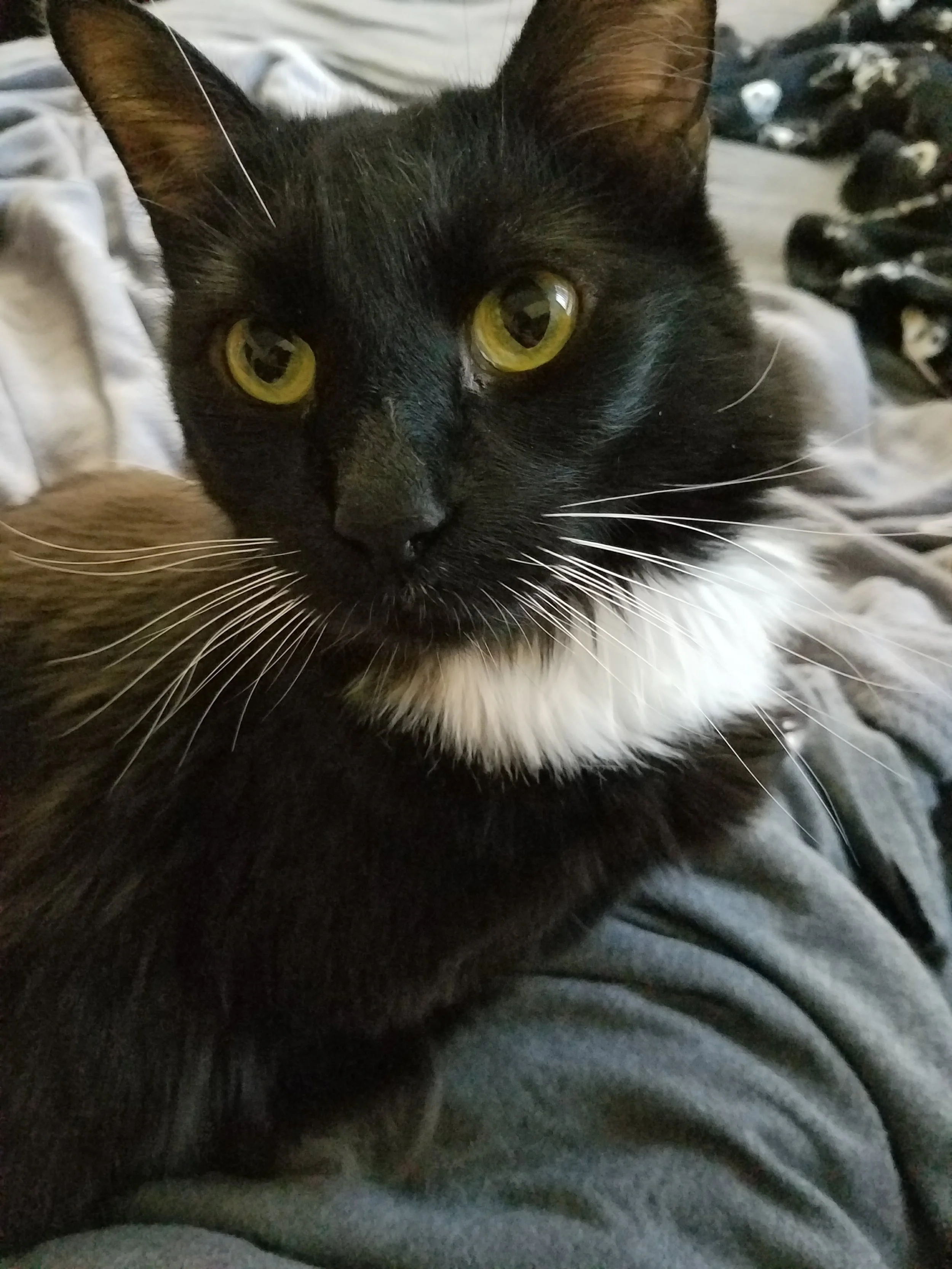 Jack - Obituary
