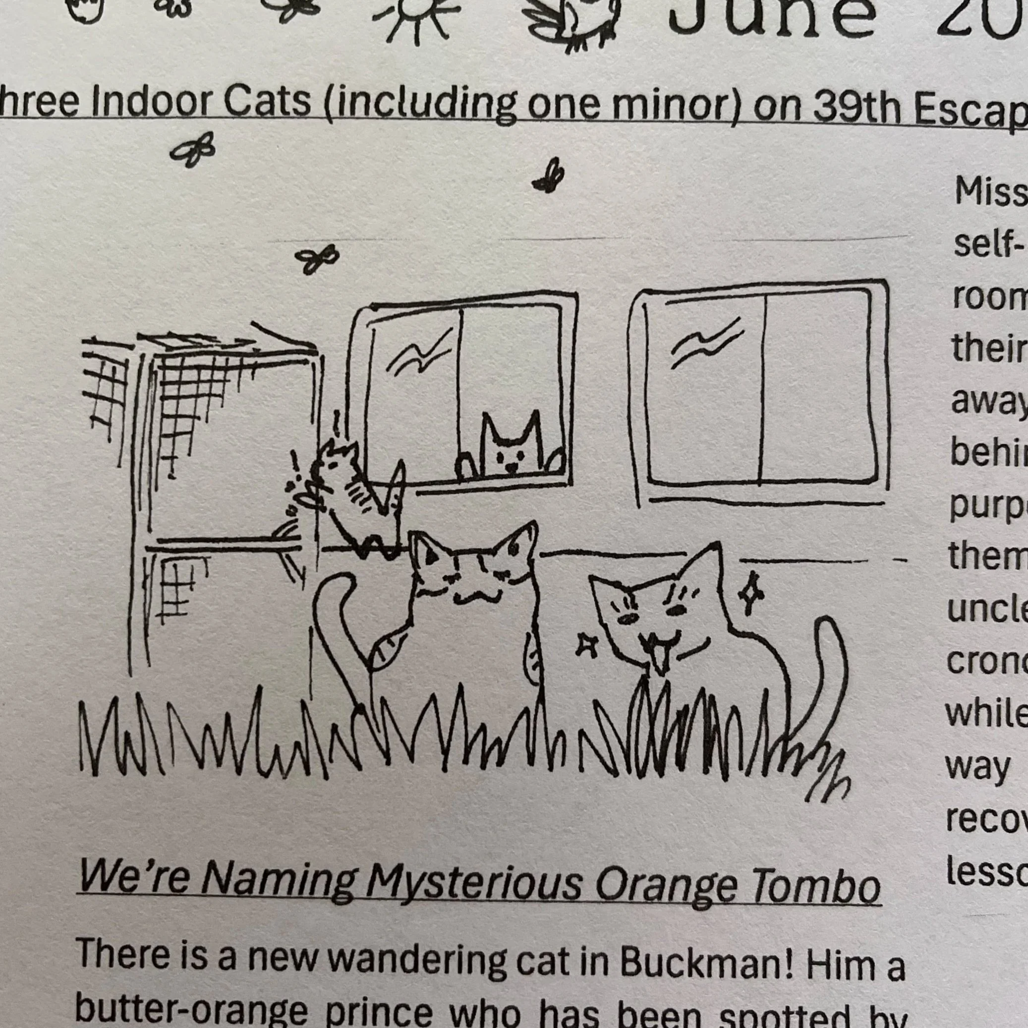 Three Indoor Cats (including one minor) on 39th Escape House for Afternoon, Blame It on Dog