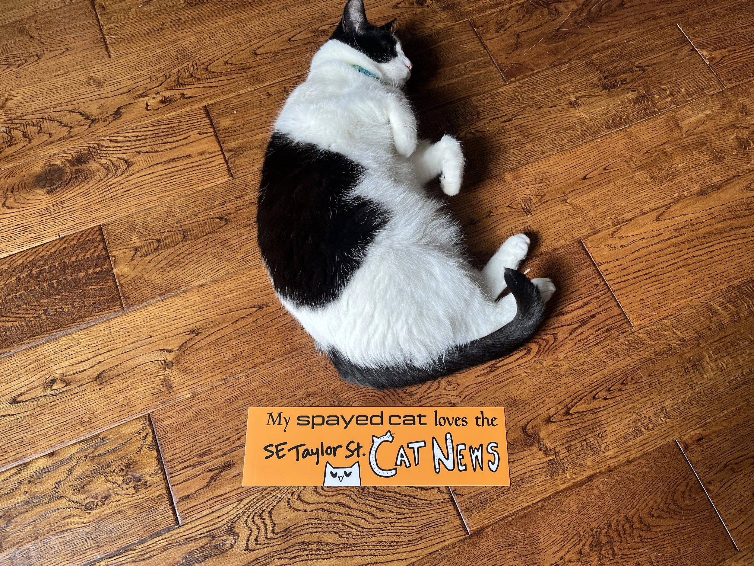 My SPAYED Cat - Bumper Sticker