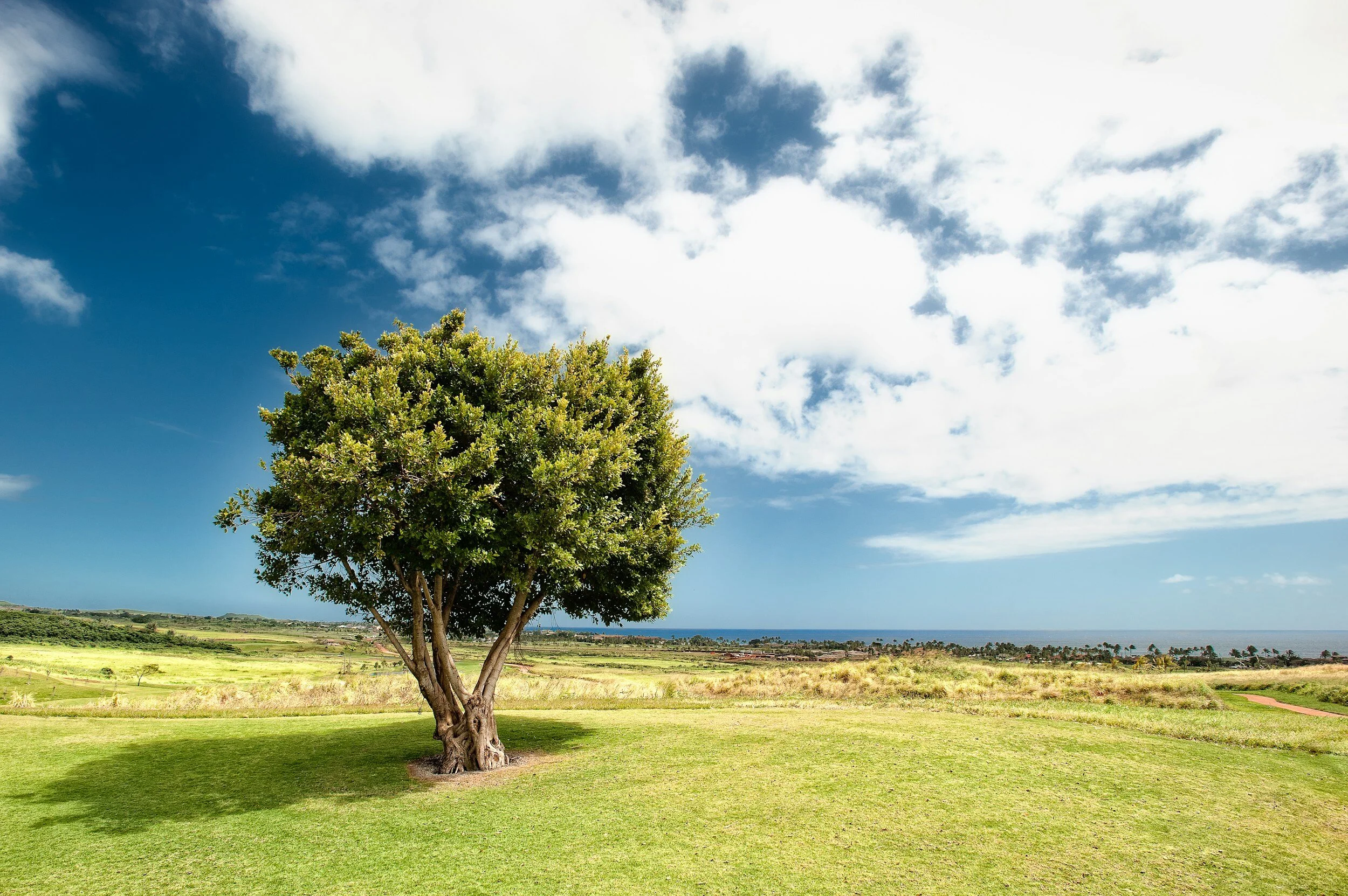 4 Signs of Unhealed Attachment Trauma