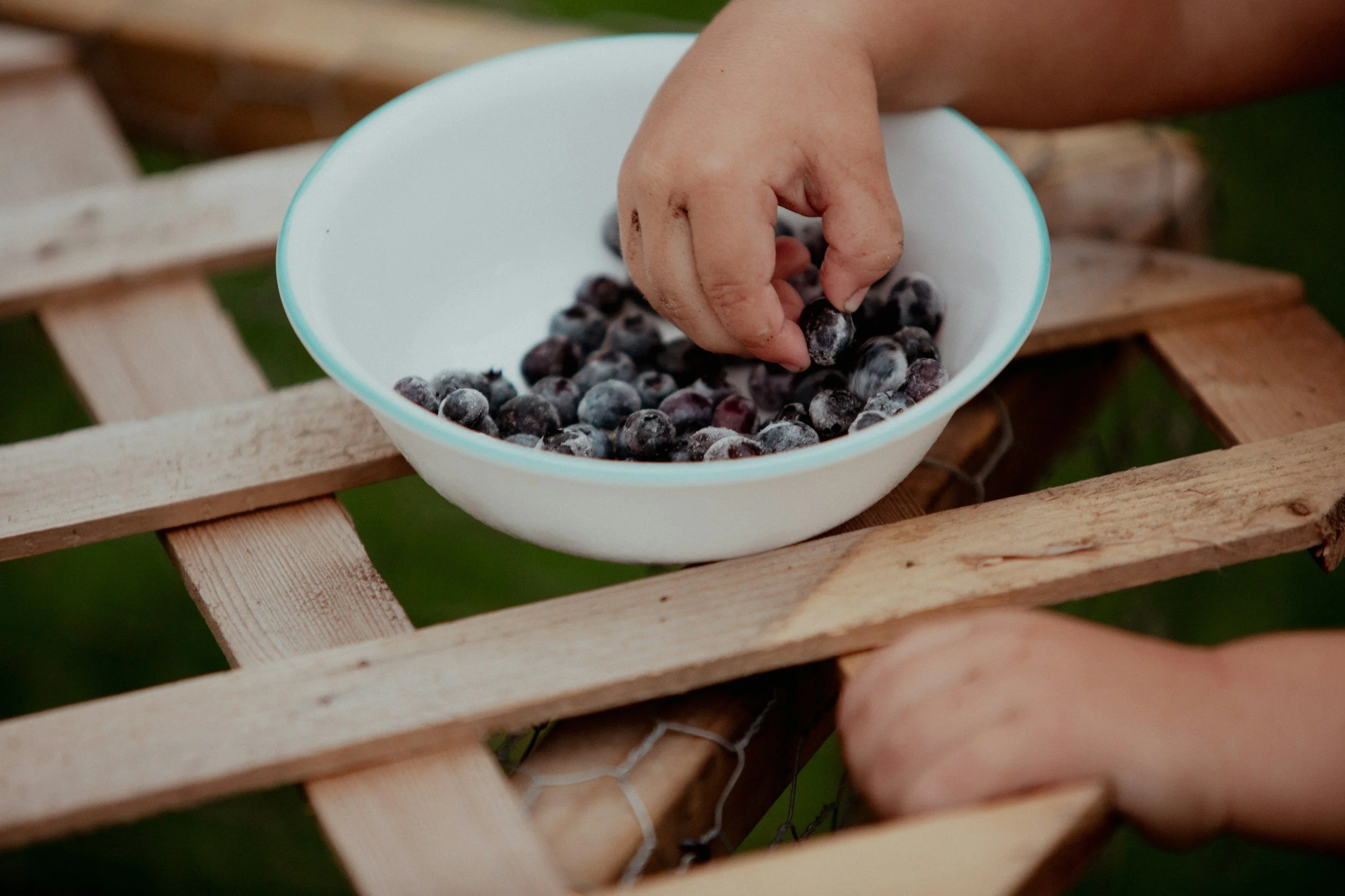 Toddler reaching for a healthy snack of frozen blueberries