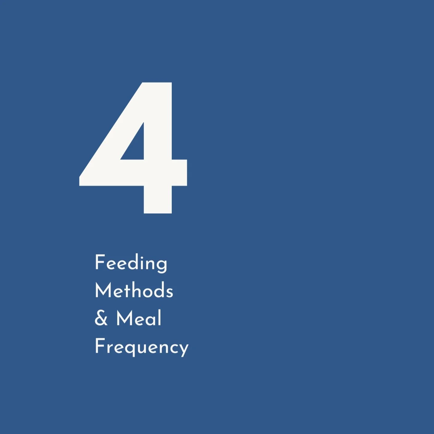Guide to meal frequency and feeding methods when starting solids