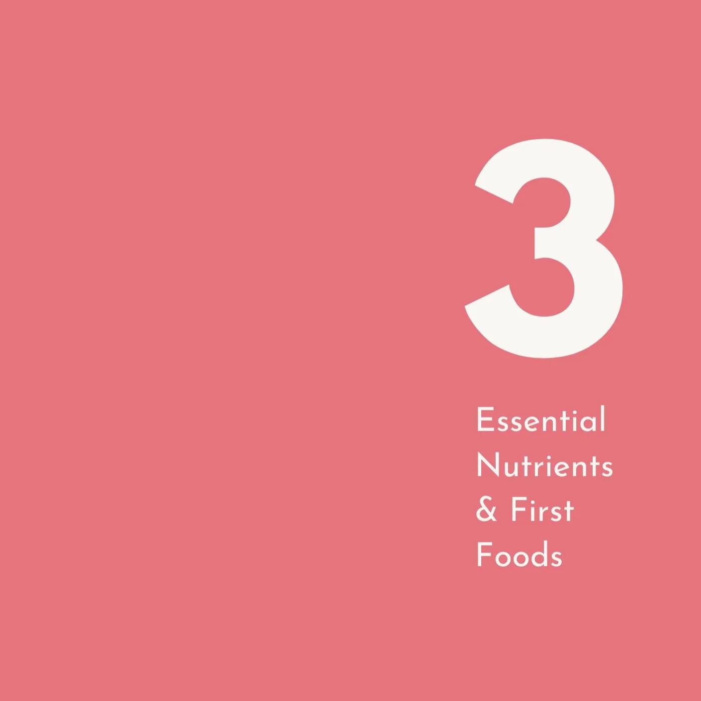 Guide to first foods and the essential nutrients for starting solids