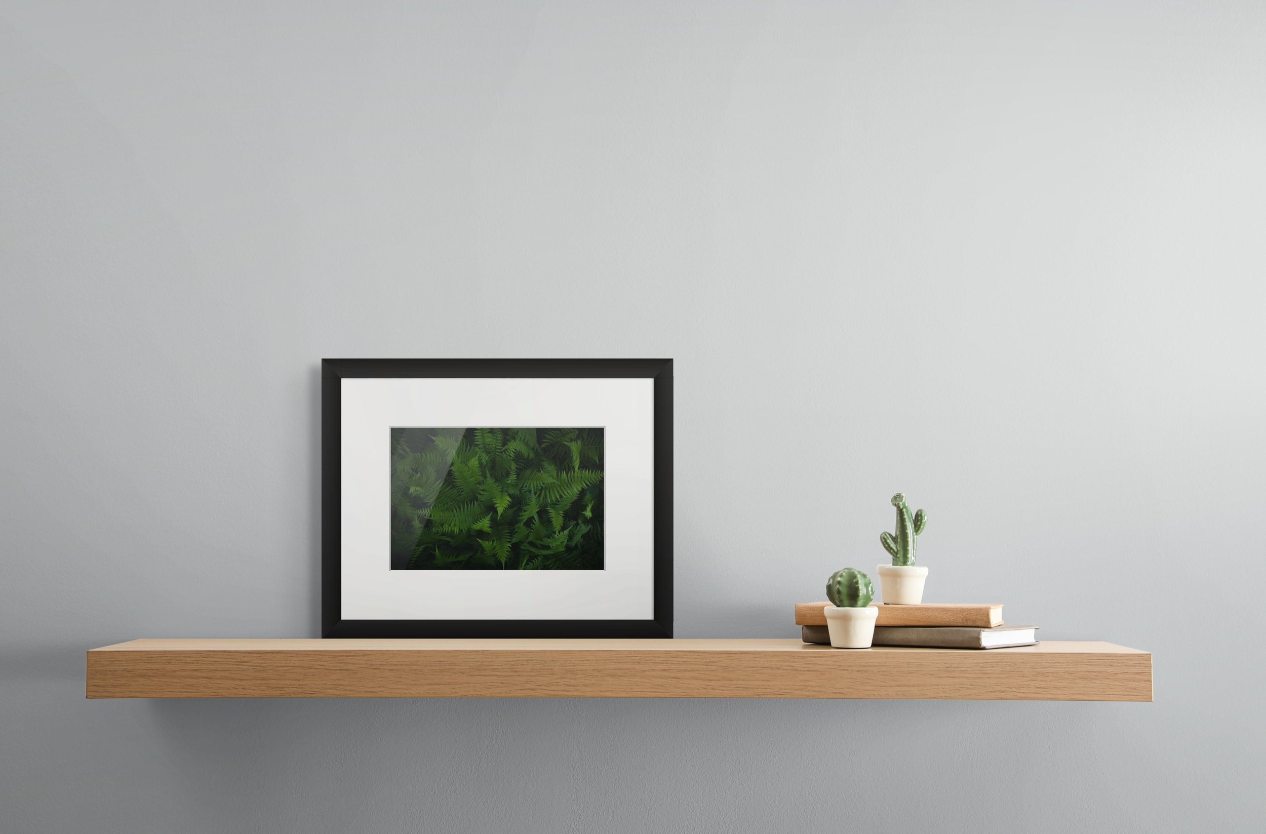 8x10-full.jpg