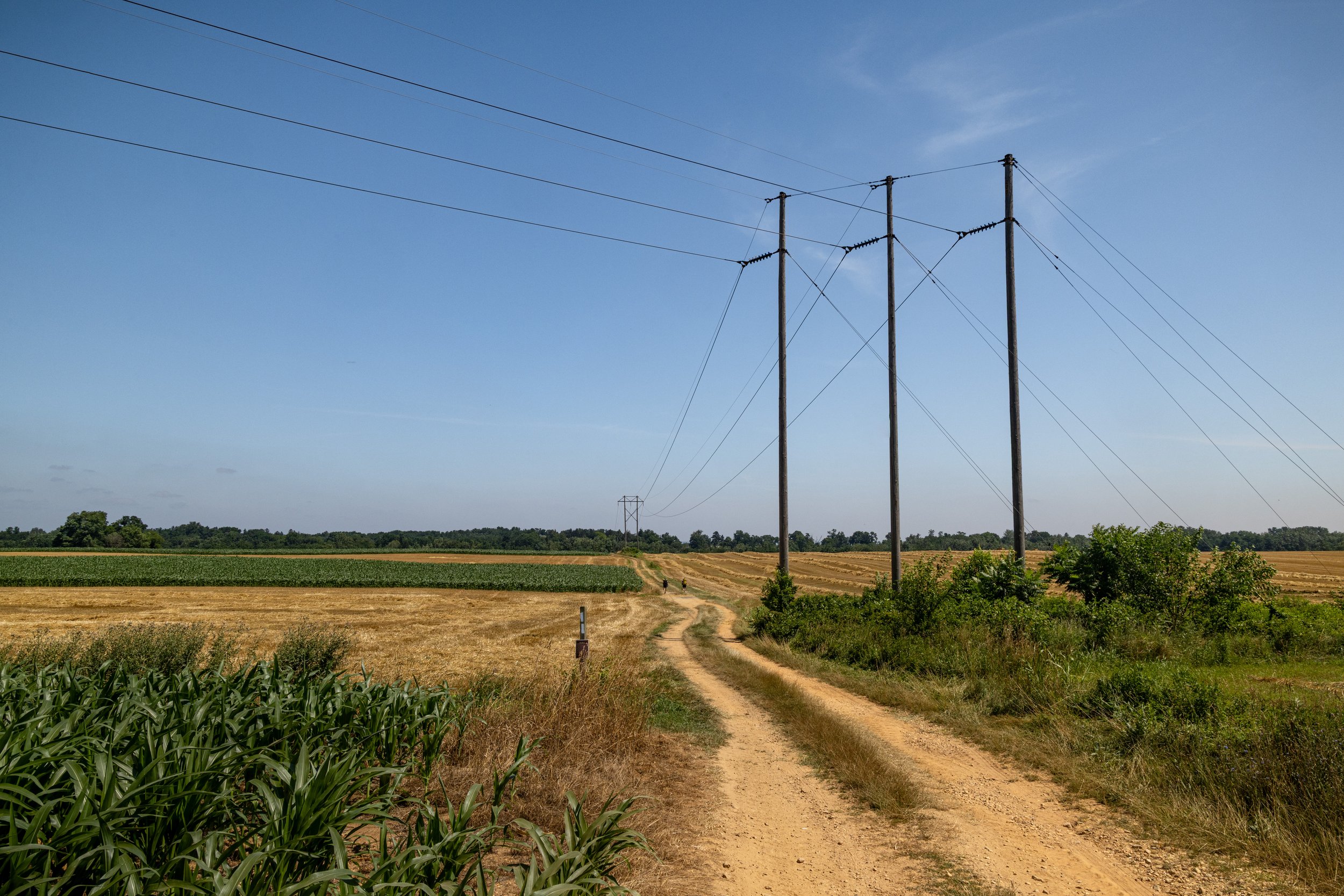 1H3A5342-20MB.jpg