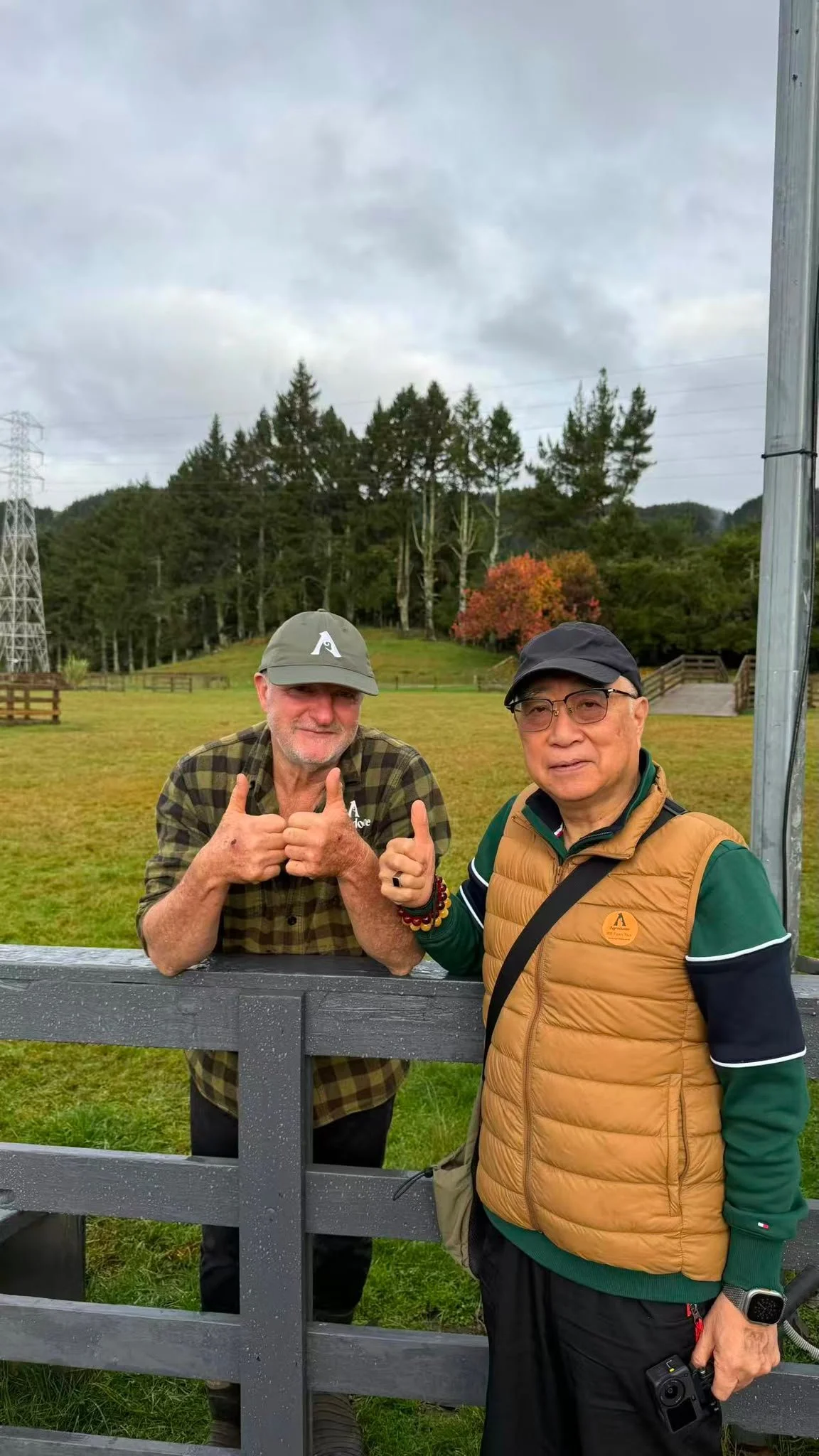 Agrodome Sheep Farmer - - Great North Tours