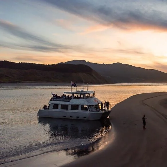 Paseo al atardecer en la costa oeste de Raglan