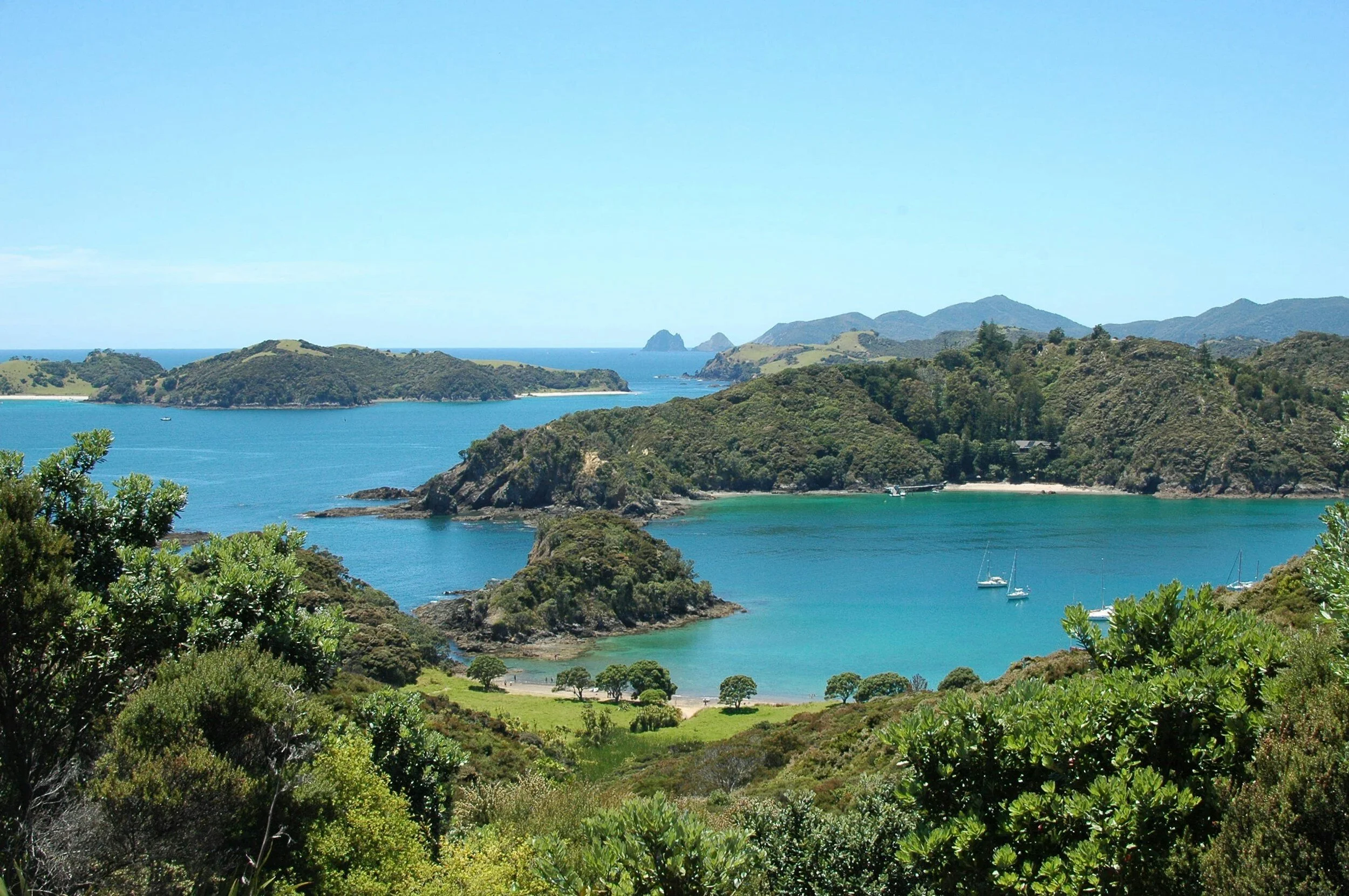 Great North Tours Paisaje costero de Northland y aguas turquesas