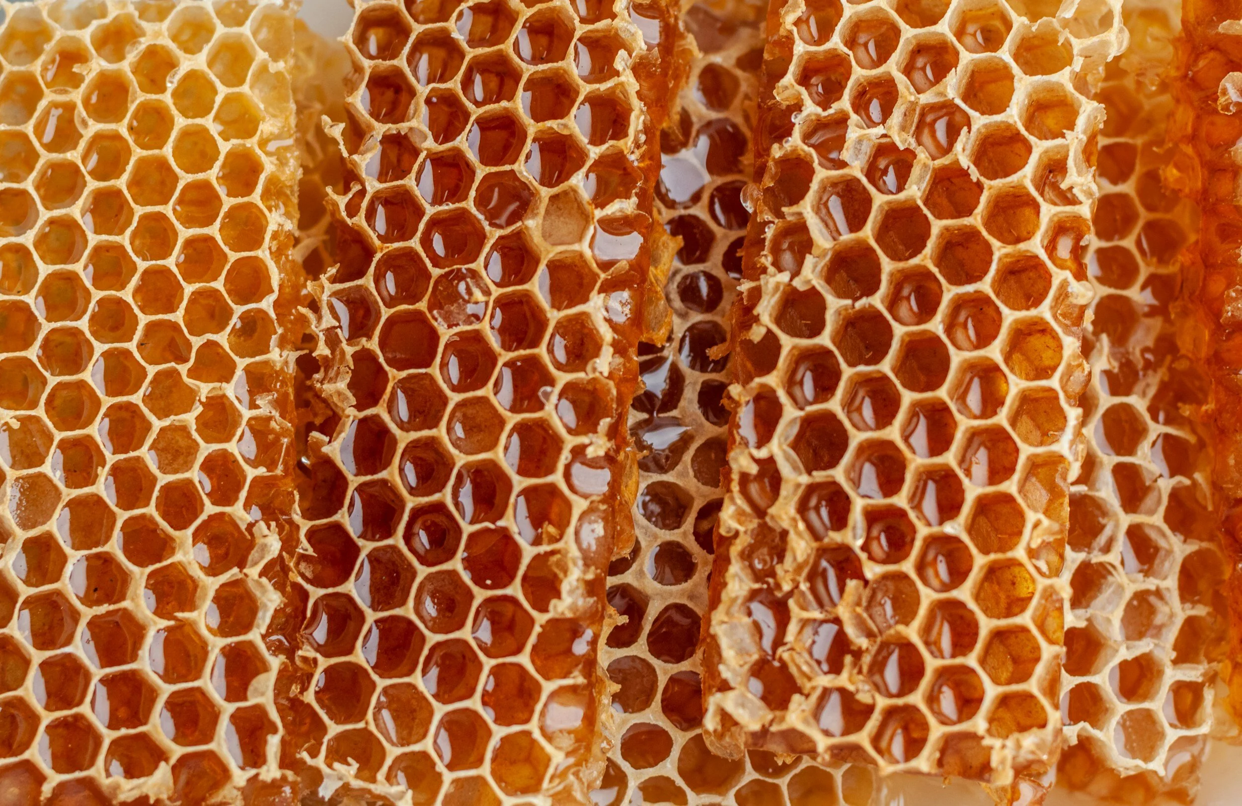 Miel de Manuka de Nueva Zelanda