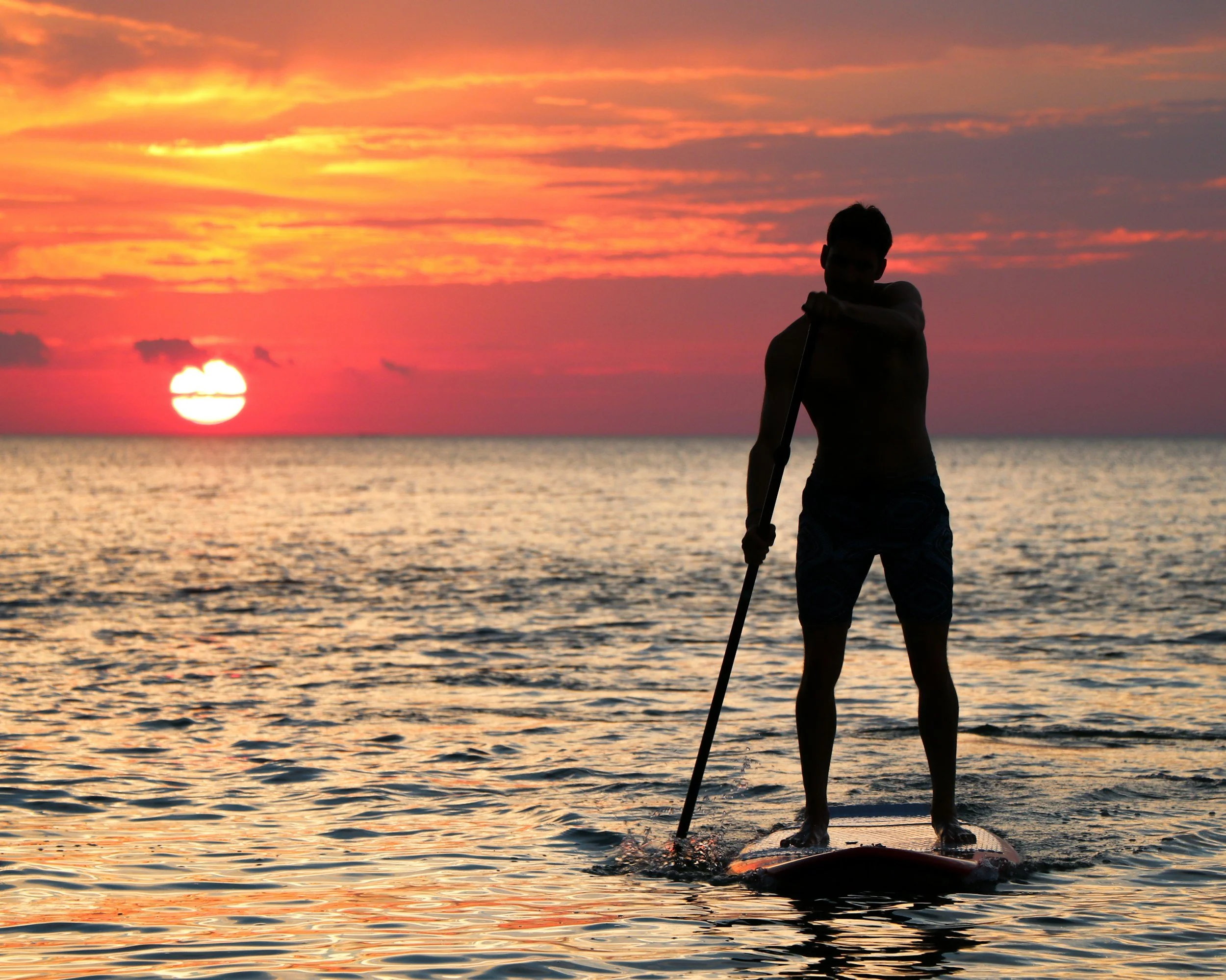 Stand-up paddleboarding (SUP) sur des lacs ou des baies calmes de Nouvelle-Z&eacute;lande. Visites actives premium avec Great North Tours.