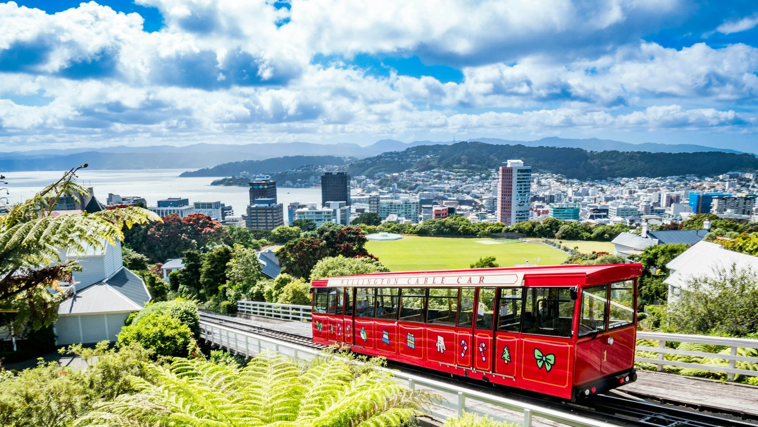 Wellington Cable Car Tour