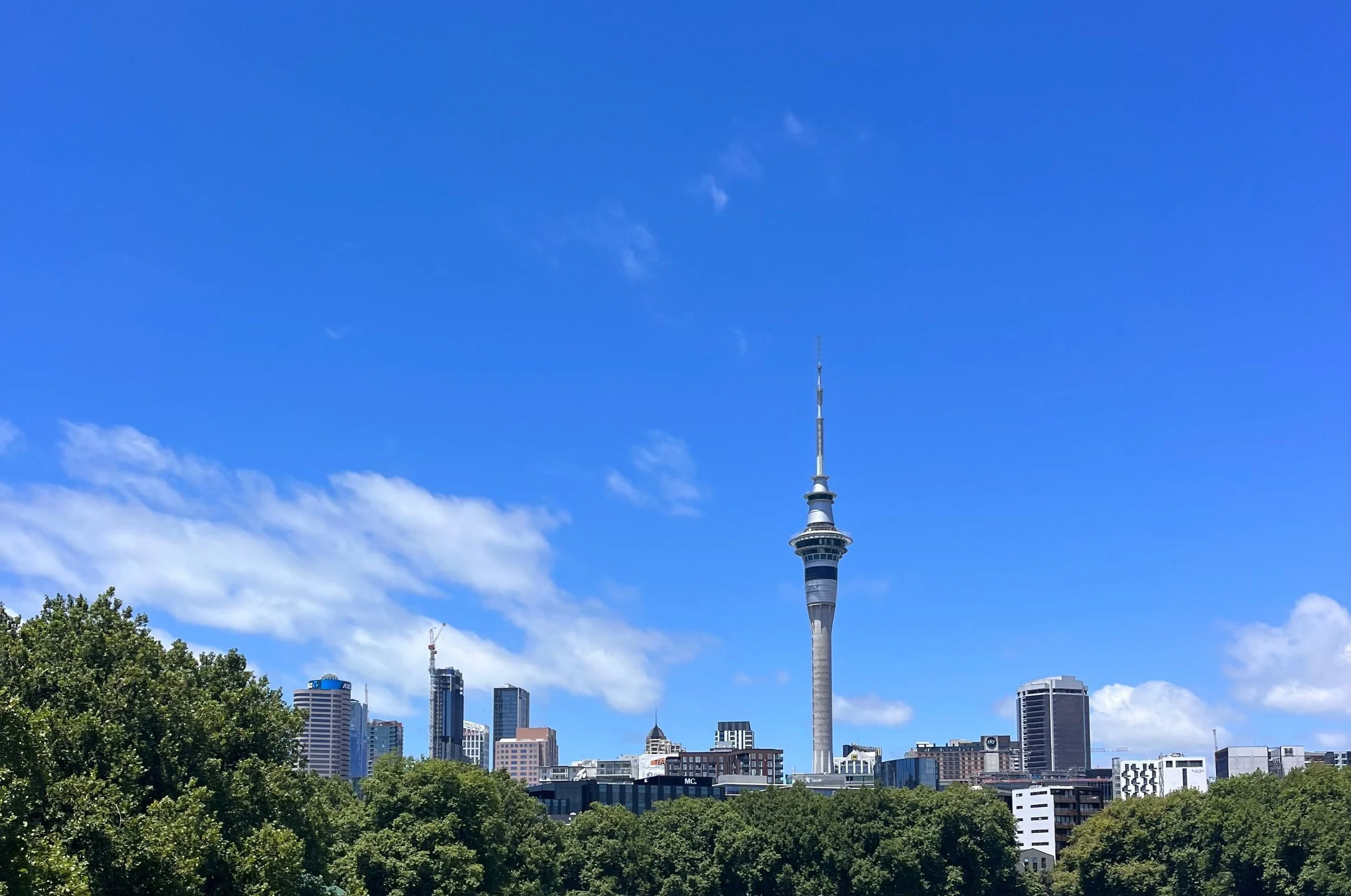 스카이 타워 Auckland 도시 전망 개인 도시 투어