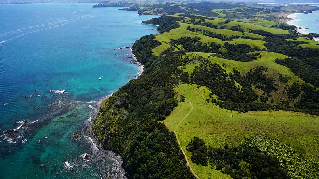 Tawharanui Regional Park Tour Auckland