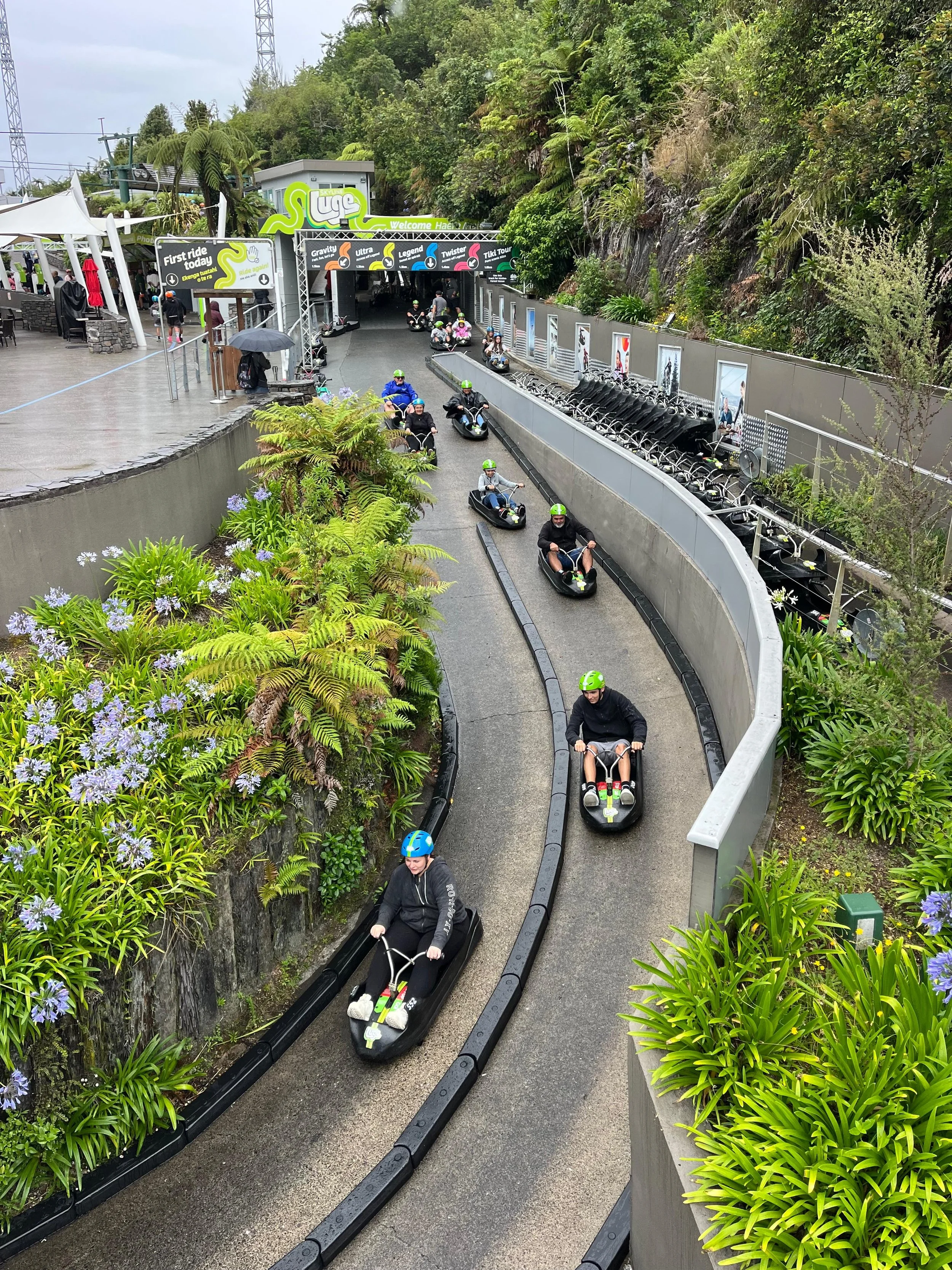 Luge Rotorua downhill ride at Skyline Rotorua