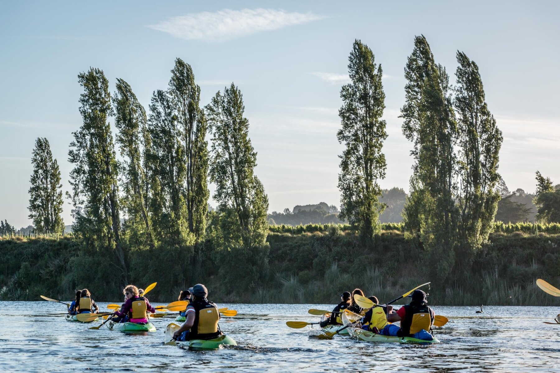 Kayak et v&eacute;lo le long de la rivi&egrave;re Waikato. Excursions d'une journ&eacute;e actives au d&eacute;part de Hamilton avec Great North Tours.