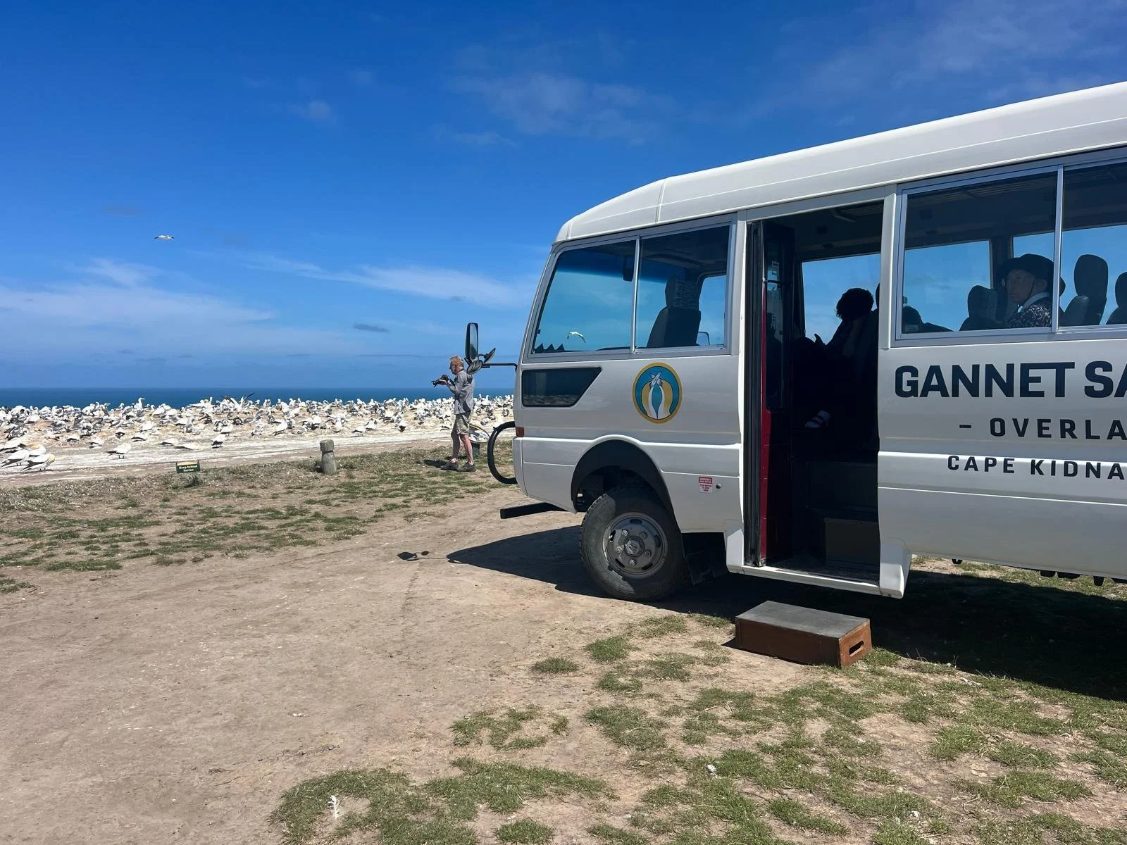 Gannet Safari Hawkes Bay Cape Kidnappers as part of a private tour