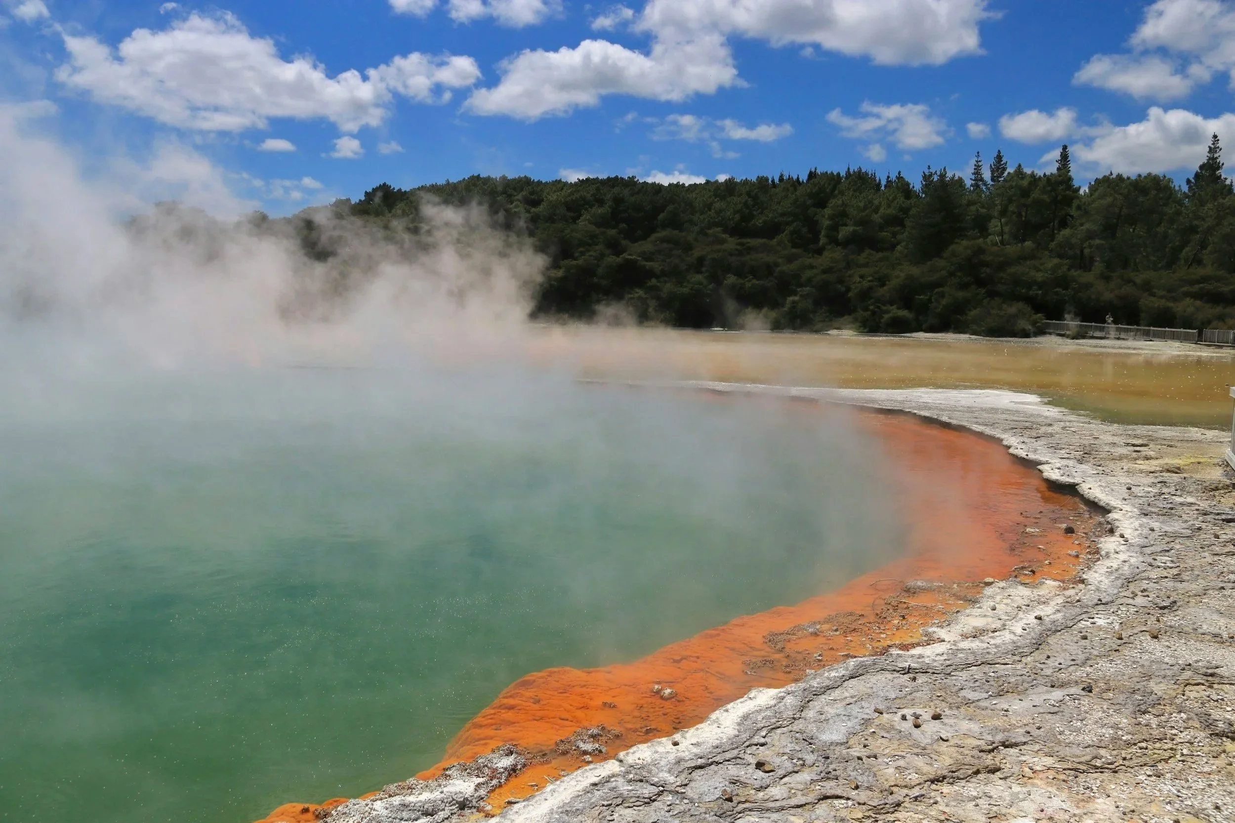Wai-O-Tapu Termal País de las Maravillas Rotorua tour privado