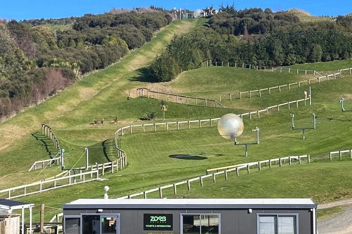 Rodando colina abajo en una pelota inflable gigante en ZORB Rotorua. Tours privados llenos de diversi&oacute;n de Great North Tours.