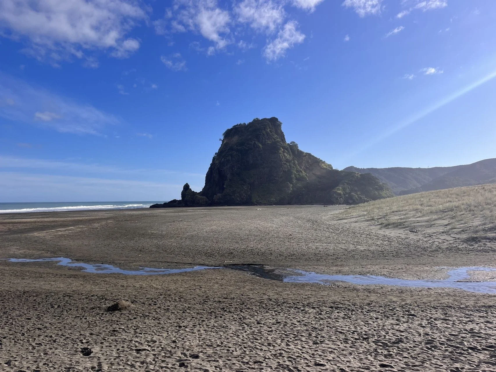 vista de Lion Rock en la playa de Piha en West Auckland