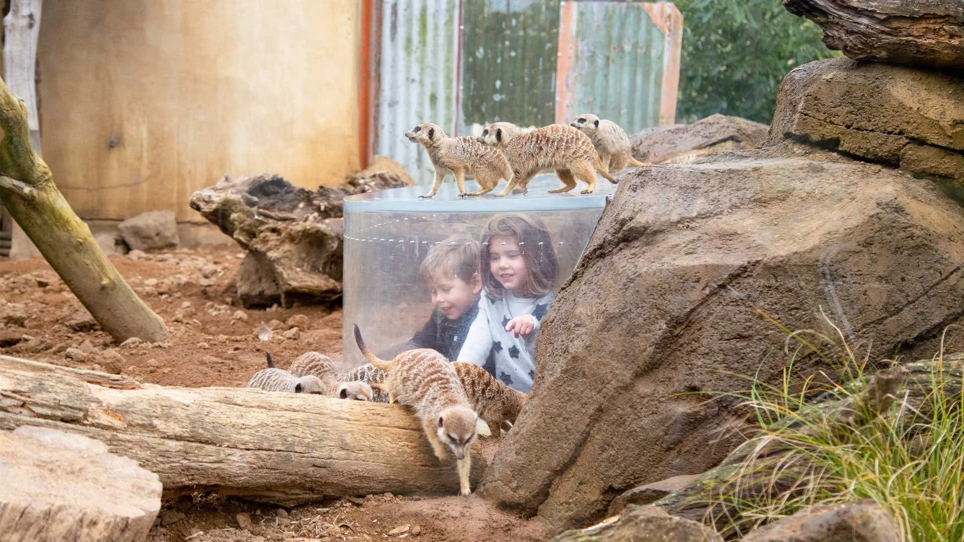 Conservation et rencontres avec la faune au zoo d'Auckland. Transport familial priv&eacute; et excursions d'une journ&eacute;e par Great North Tours.
