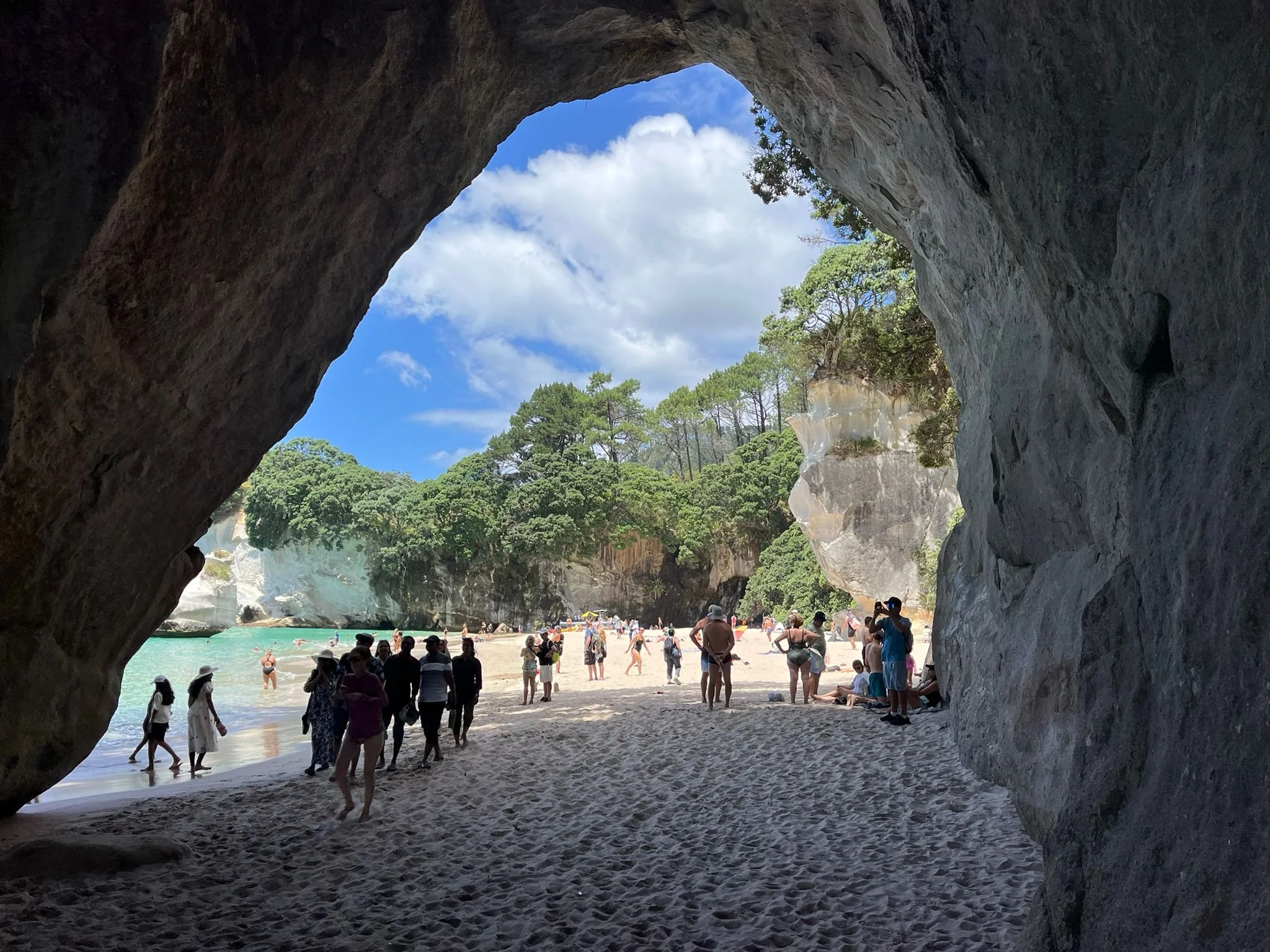 Cathedral Cove Coromandel tour privado