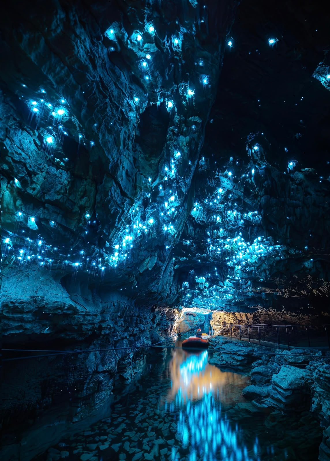 Waitomo Glow Worm Caves with Great North Tours