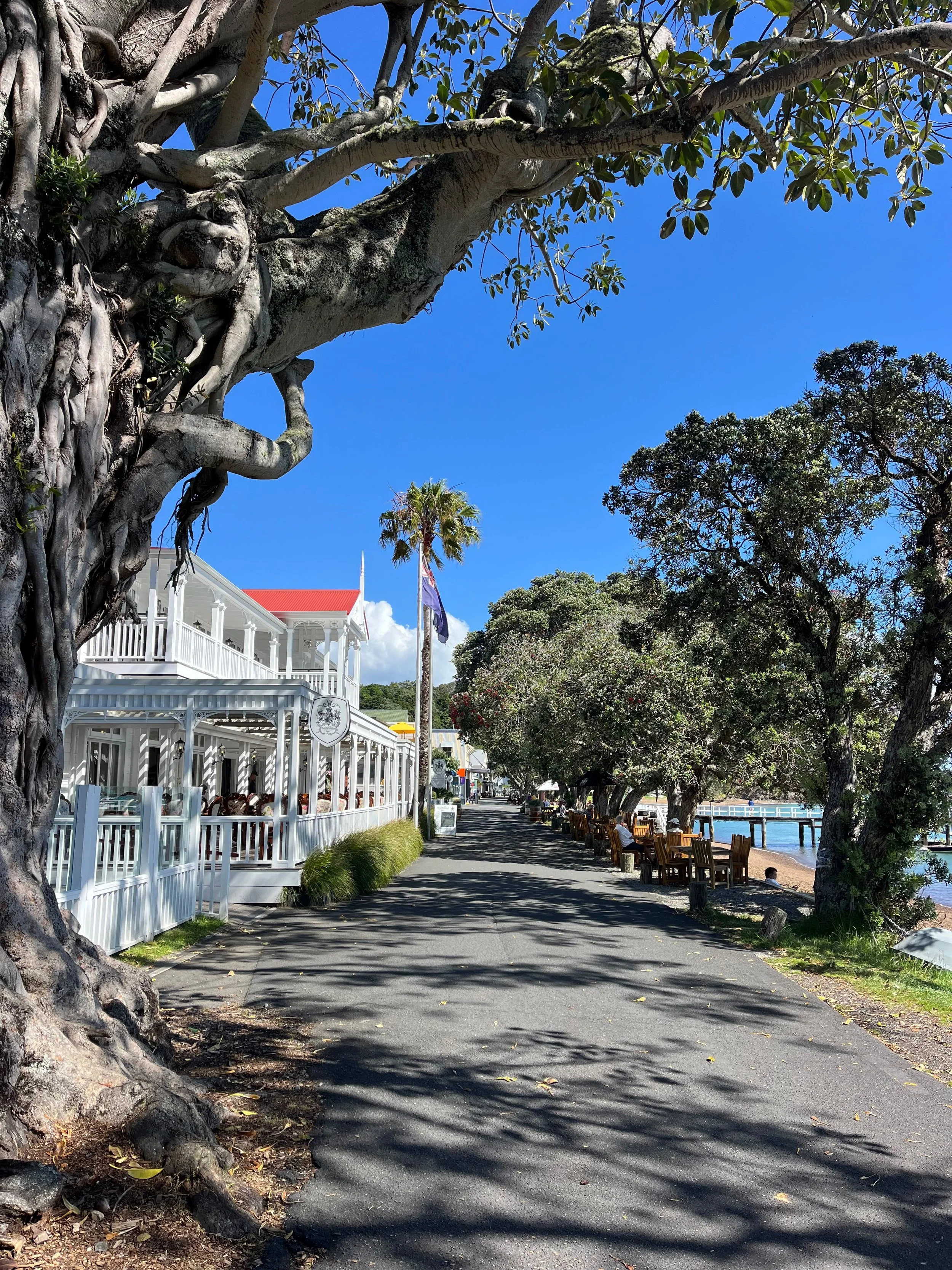 The Duke of Marlborough in Russell Bay of Islands - Great North Tours