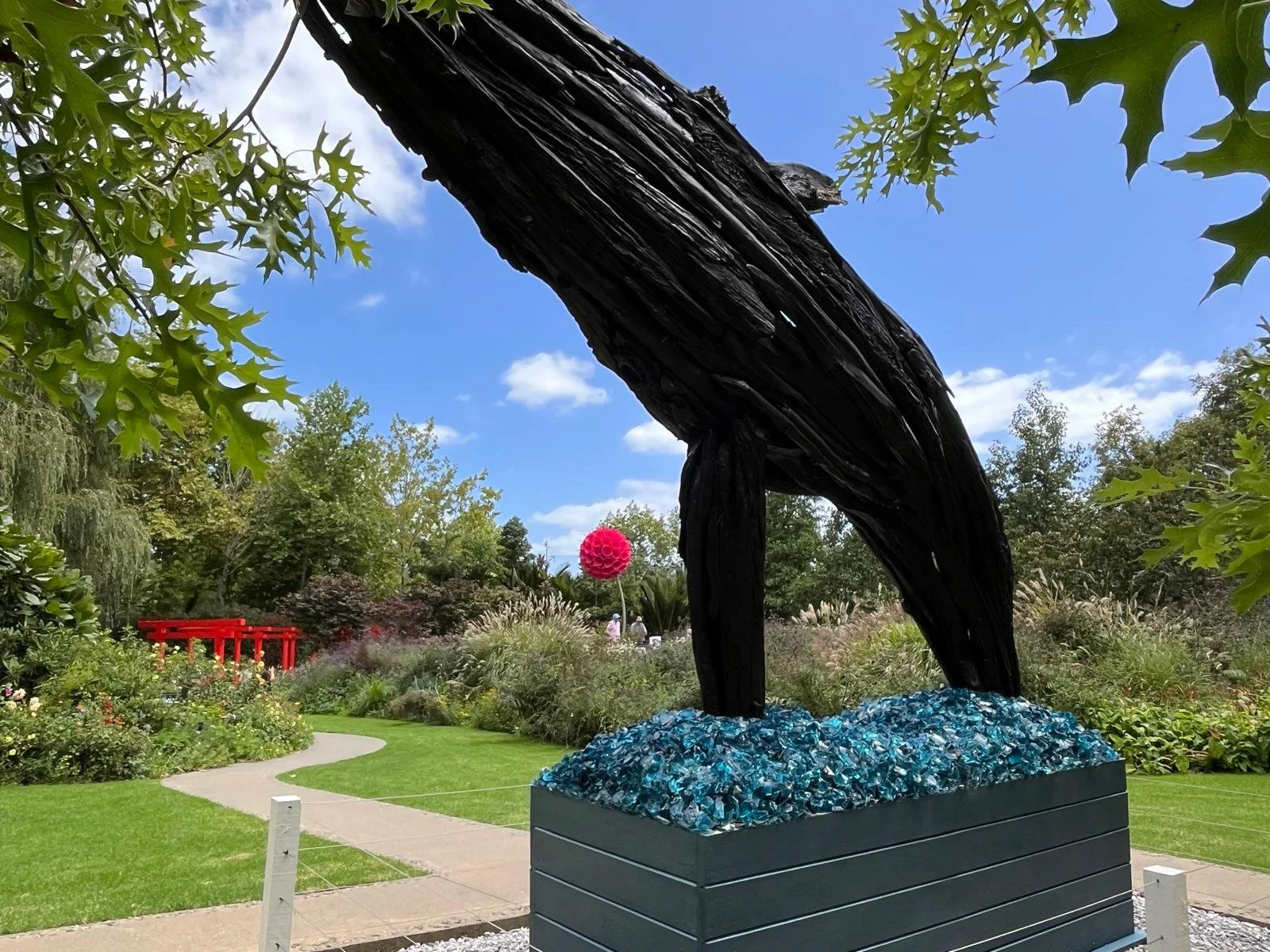 Sculptarium Matakana Tour NZ