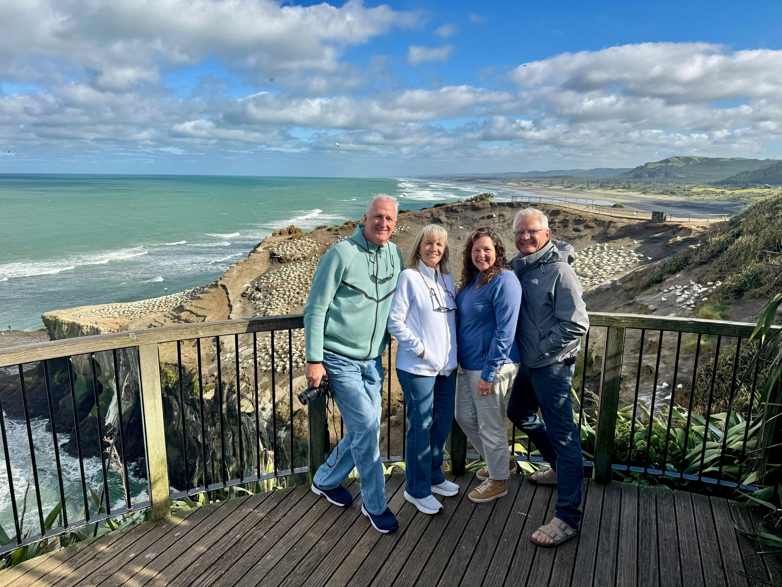 Muriwai Gannet Colony with Great North Tours