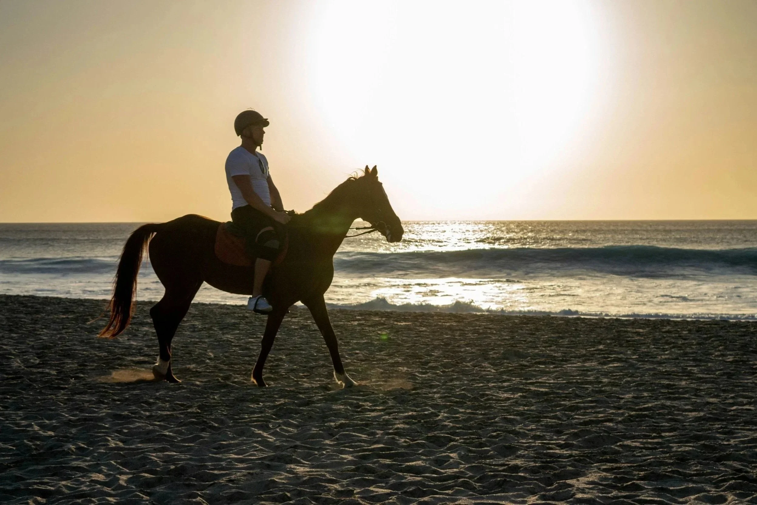 paseos a caballo por la playa al amanecer