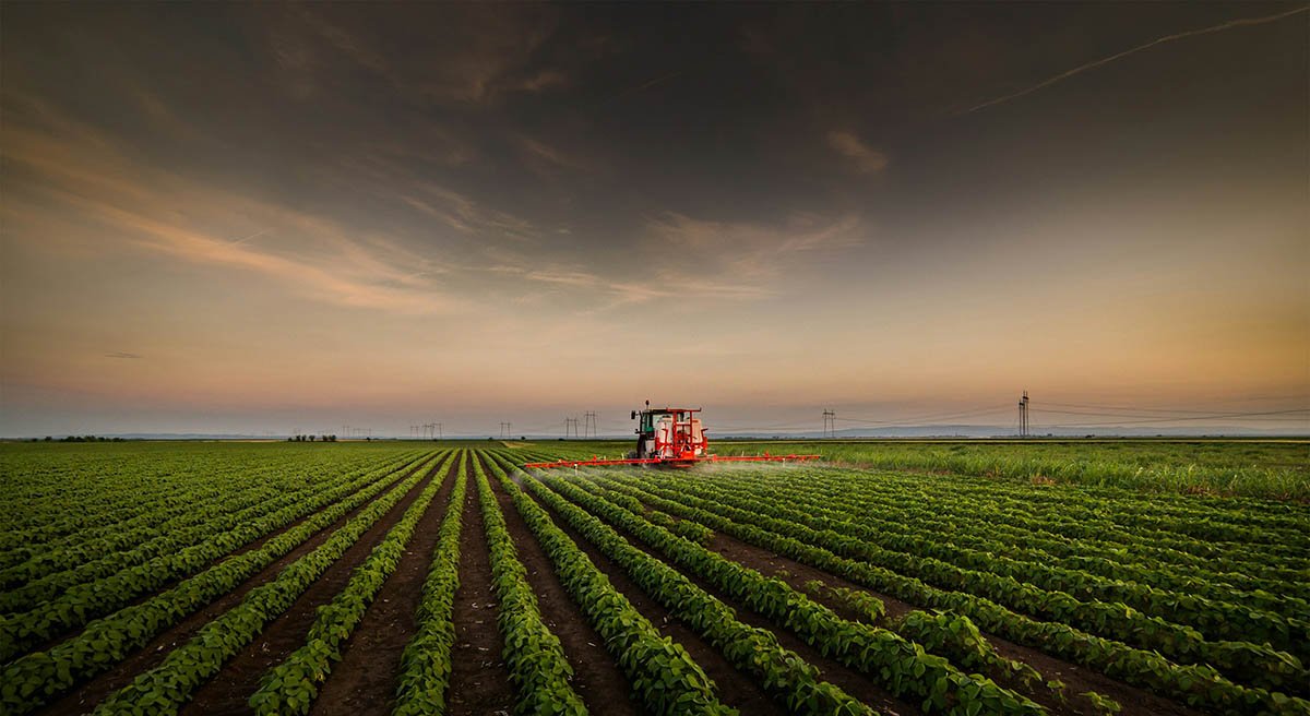 L'agriculture, un atout stratégique