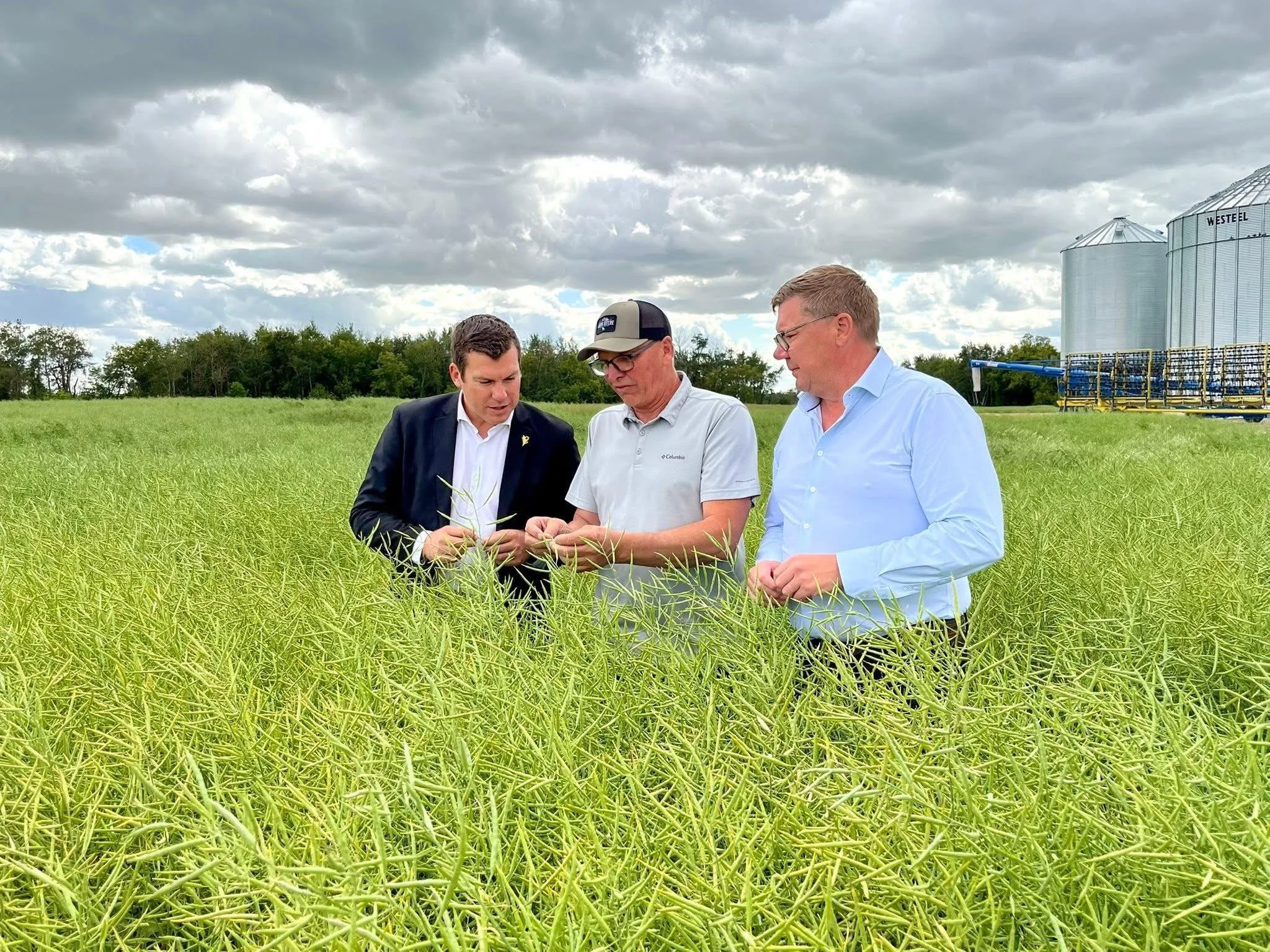 Ottawa pushes China on canola tariffs during trade mission