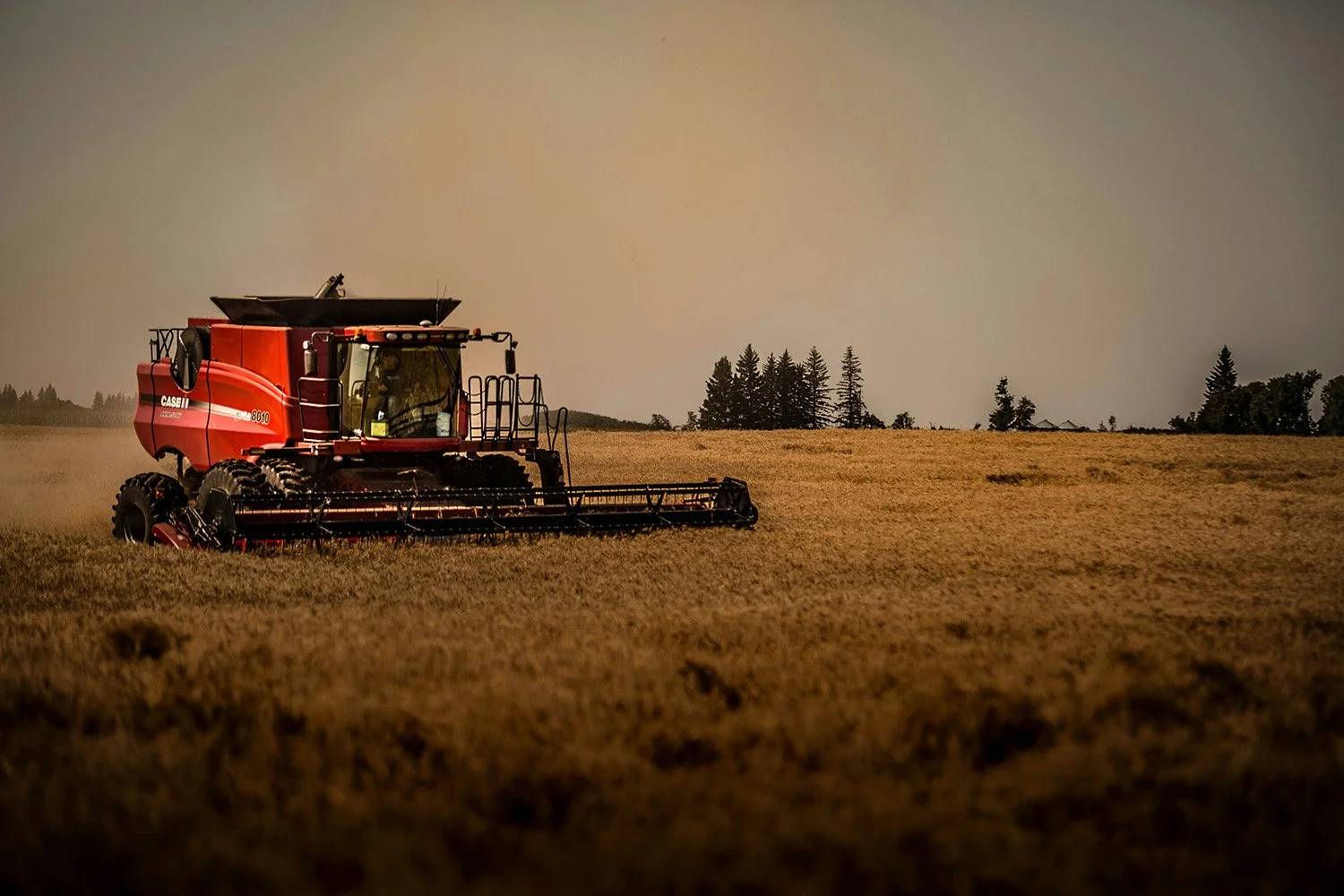 Rural MPs warn temporary fuel tax relief in affordability legislation falls short