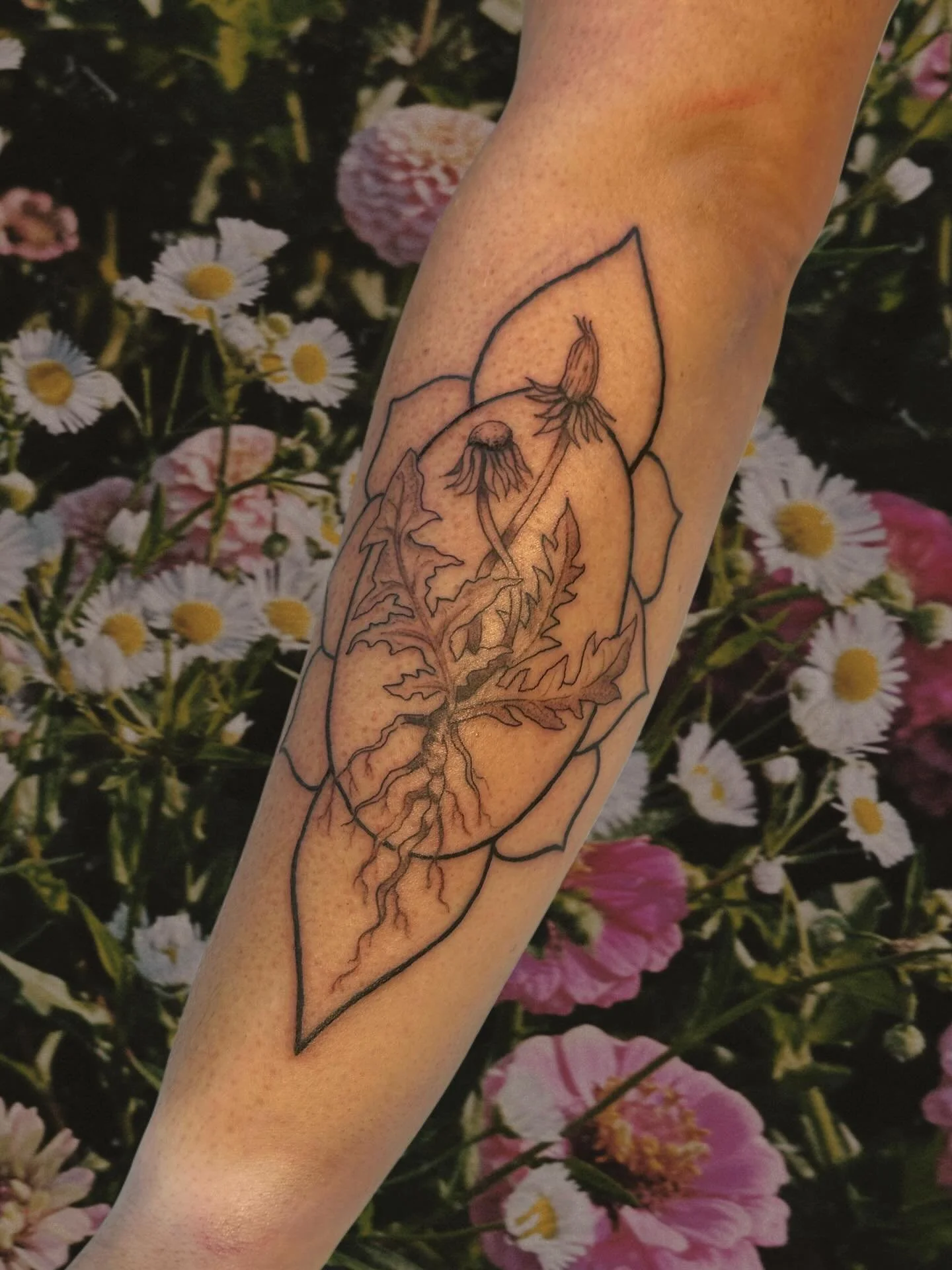 A series of tattoos since I got back! All important and close to the heart for each wearer 💟🌿 thanks for the projects of bringing your designs to life! 
.
.
.
#finelinetattoos #rhodeislandtattoo #westerlyri #newenglandtattooartist