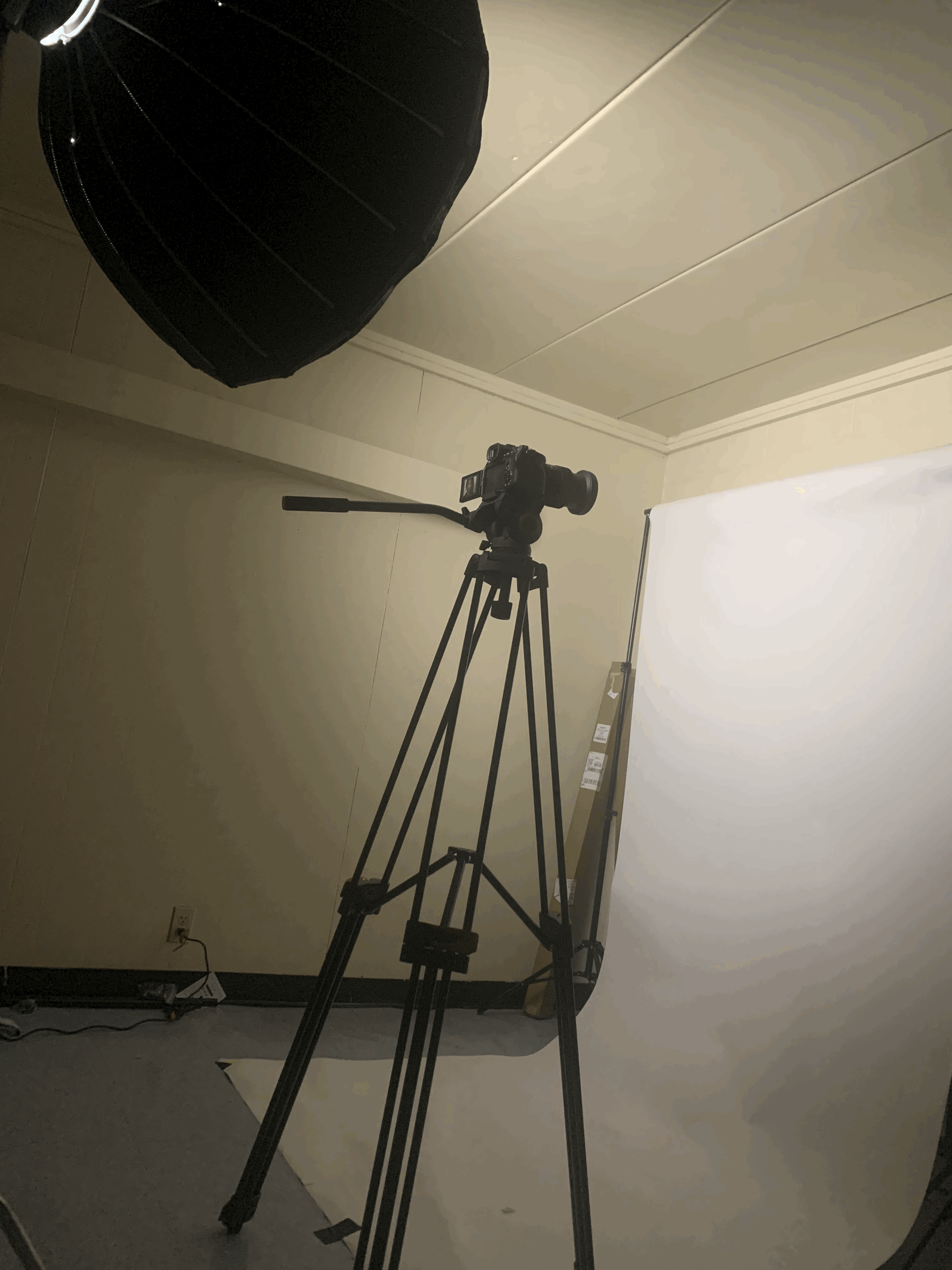 Art Direction/Lighting