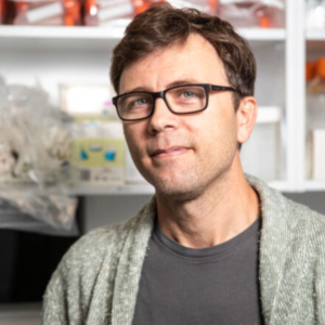 A/Prof. Luis Alarcon-Martinez