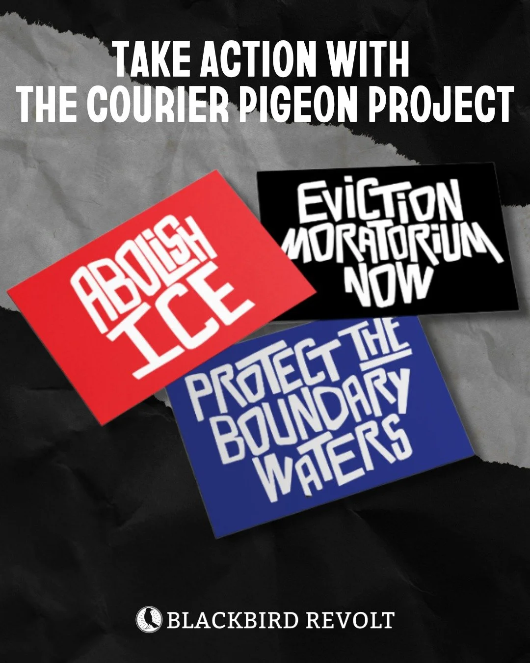 We've got postcards from @blackbirdrevolt as part of their Courier Pigeon Project! 

Come to the Q and pick up postcards with pre-paid postage to send to your representatives on key issues.

All you need to do is put your return address, your represe