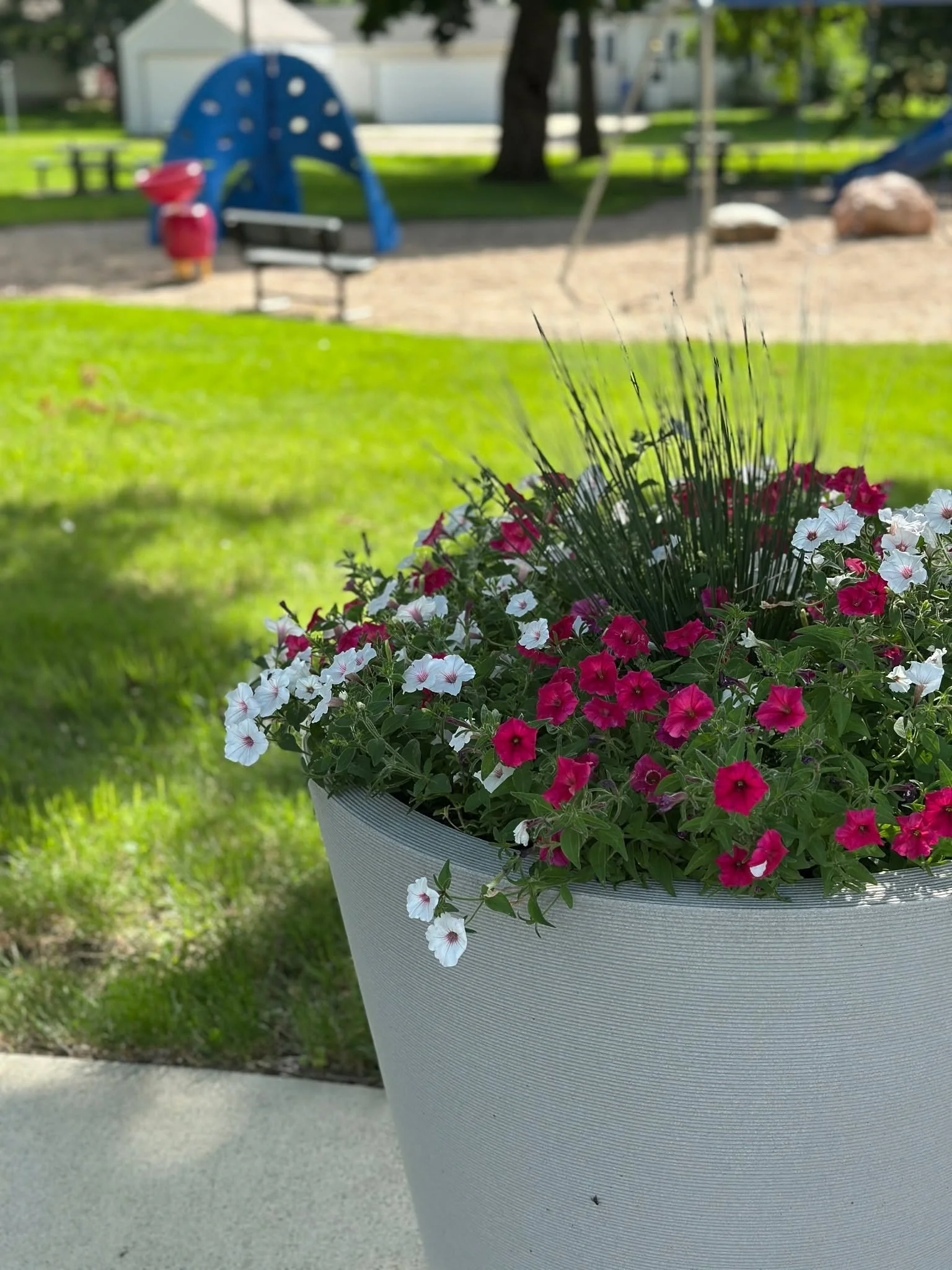 🌼 Flower pots got a glow-up! Have you seen them driving through town?

Big thanks to @three_oaksgreenhouse for keeping Main Street looking beautiful. Keep your eyes out as these beauties continue to bloom&mdash;and stay tuned for another surprise co