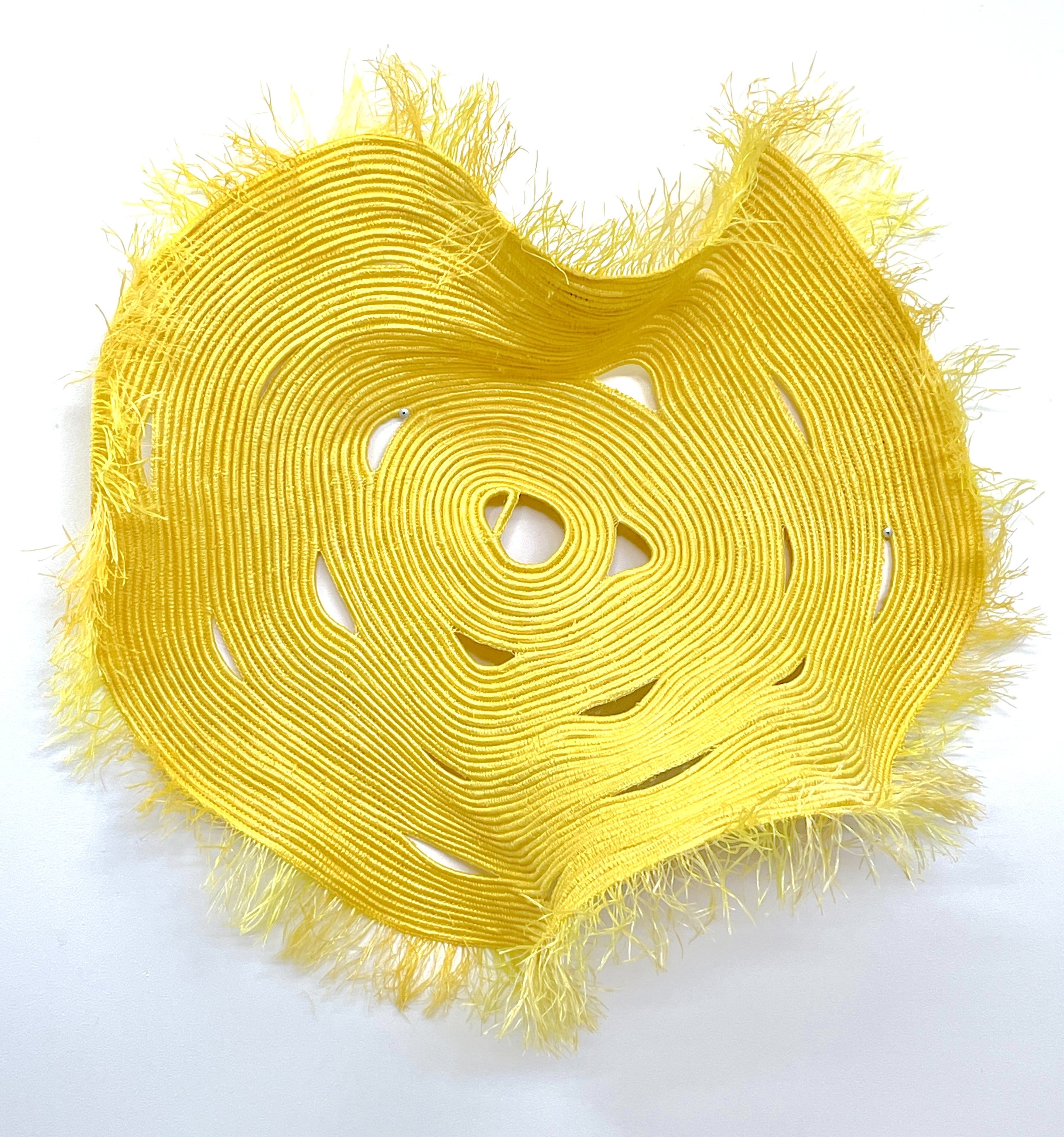 Coiled Vault @ Glen Eira City Council Gallery