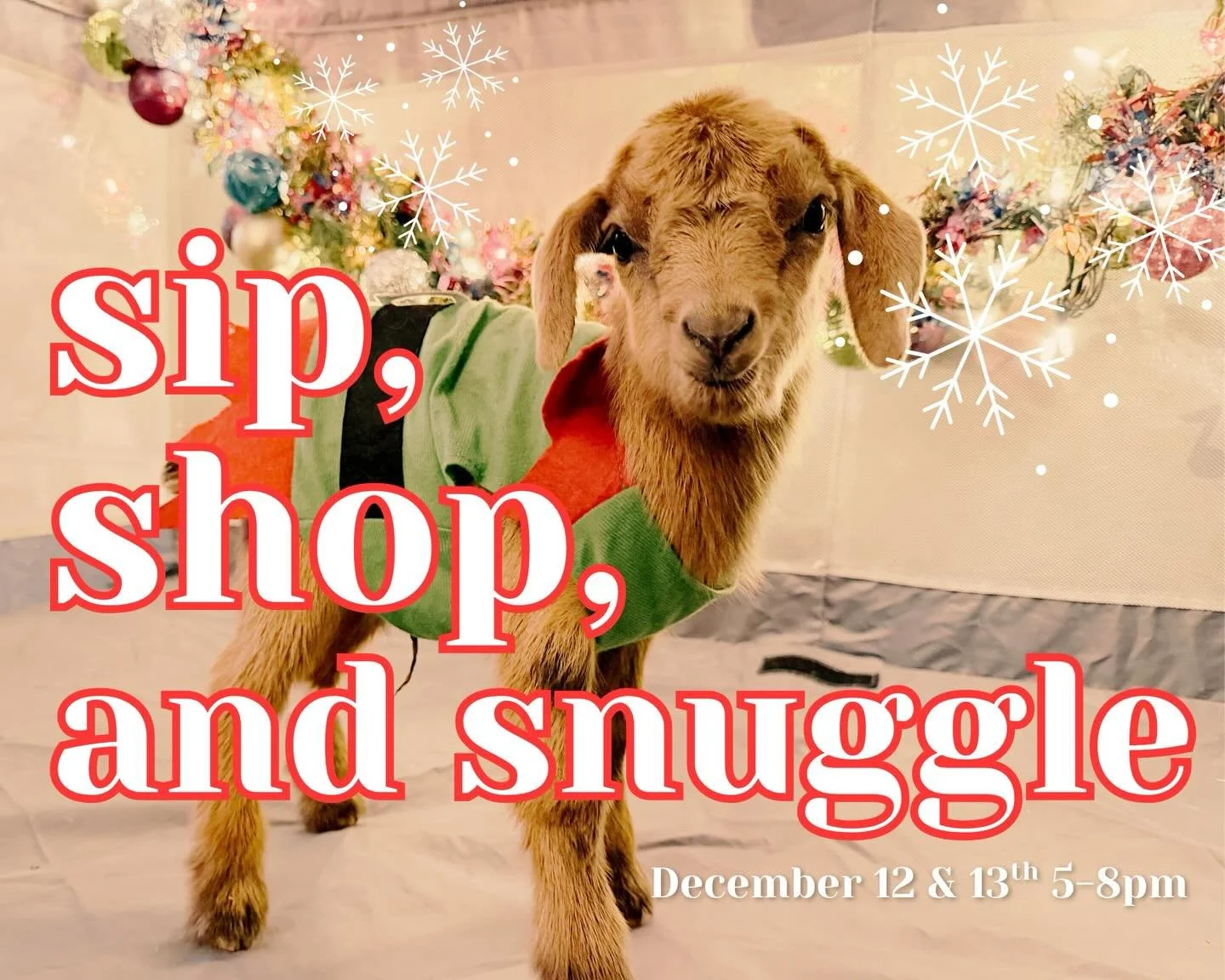 Sip, Shop, Shine..... and SNUGGLE!!