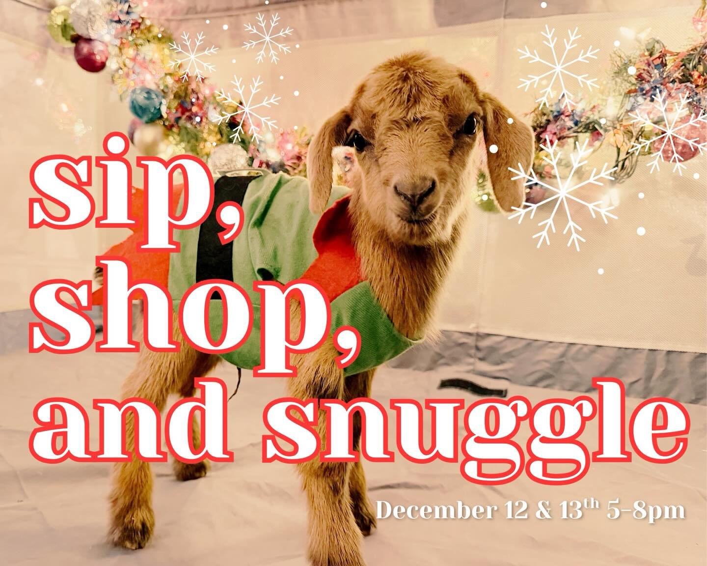 Sip, Shop, Shine, and.... SNUGGLE!