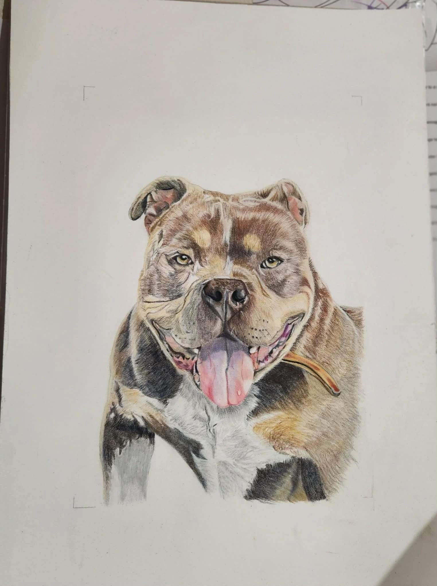 99e338e8-301f-427f-a96e-23037ada28af.jpg