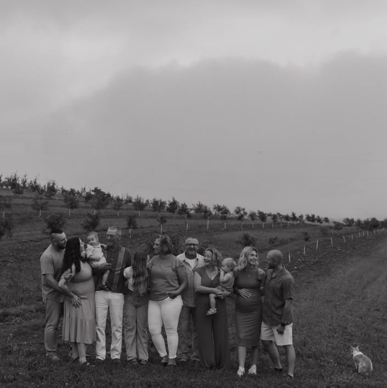 Screenshot 2025-03-26 at 3.47.11 PM.png